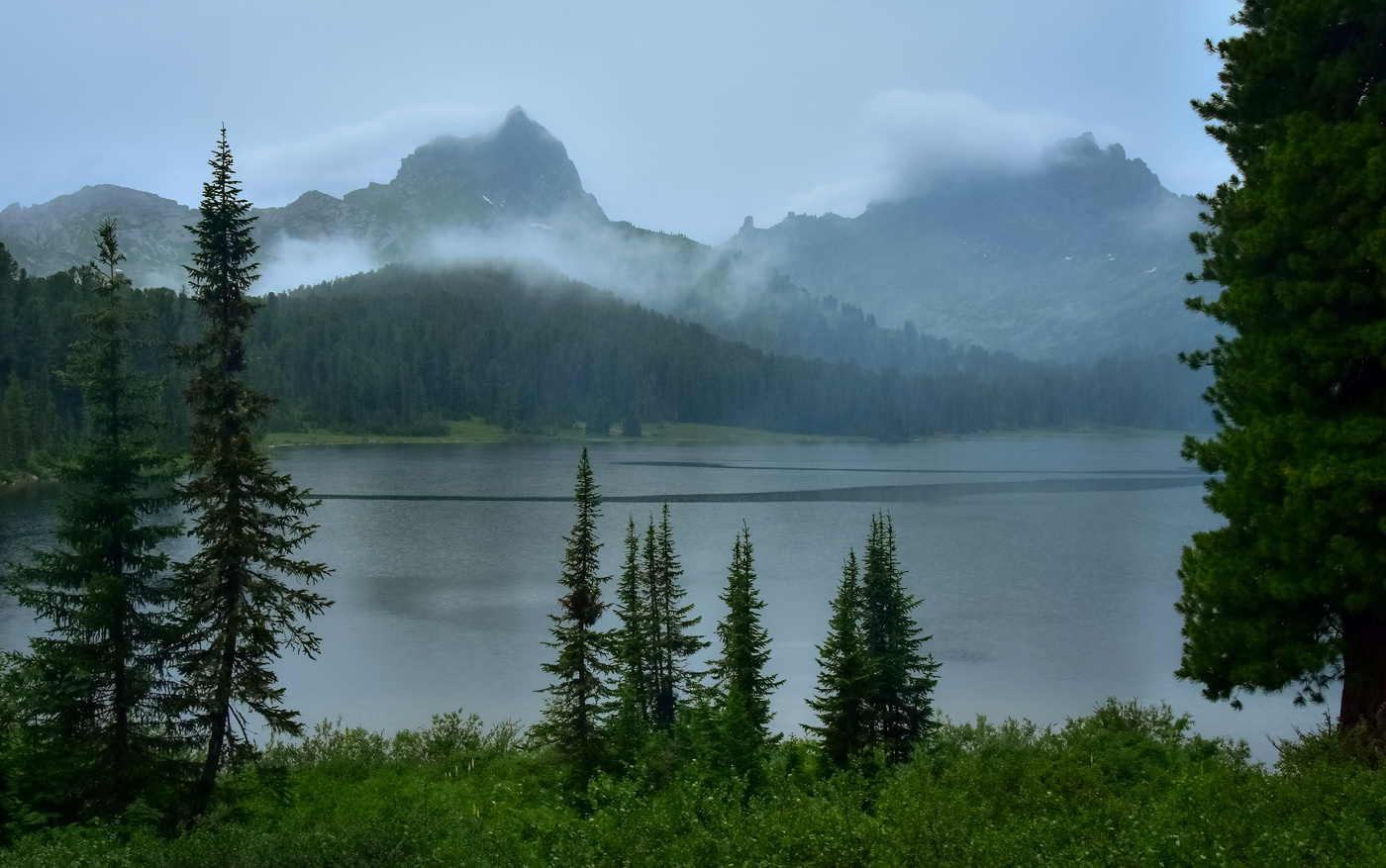 Пасмурно на озере Светлом