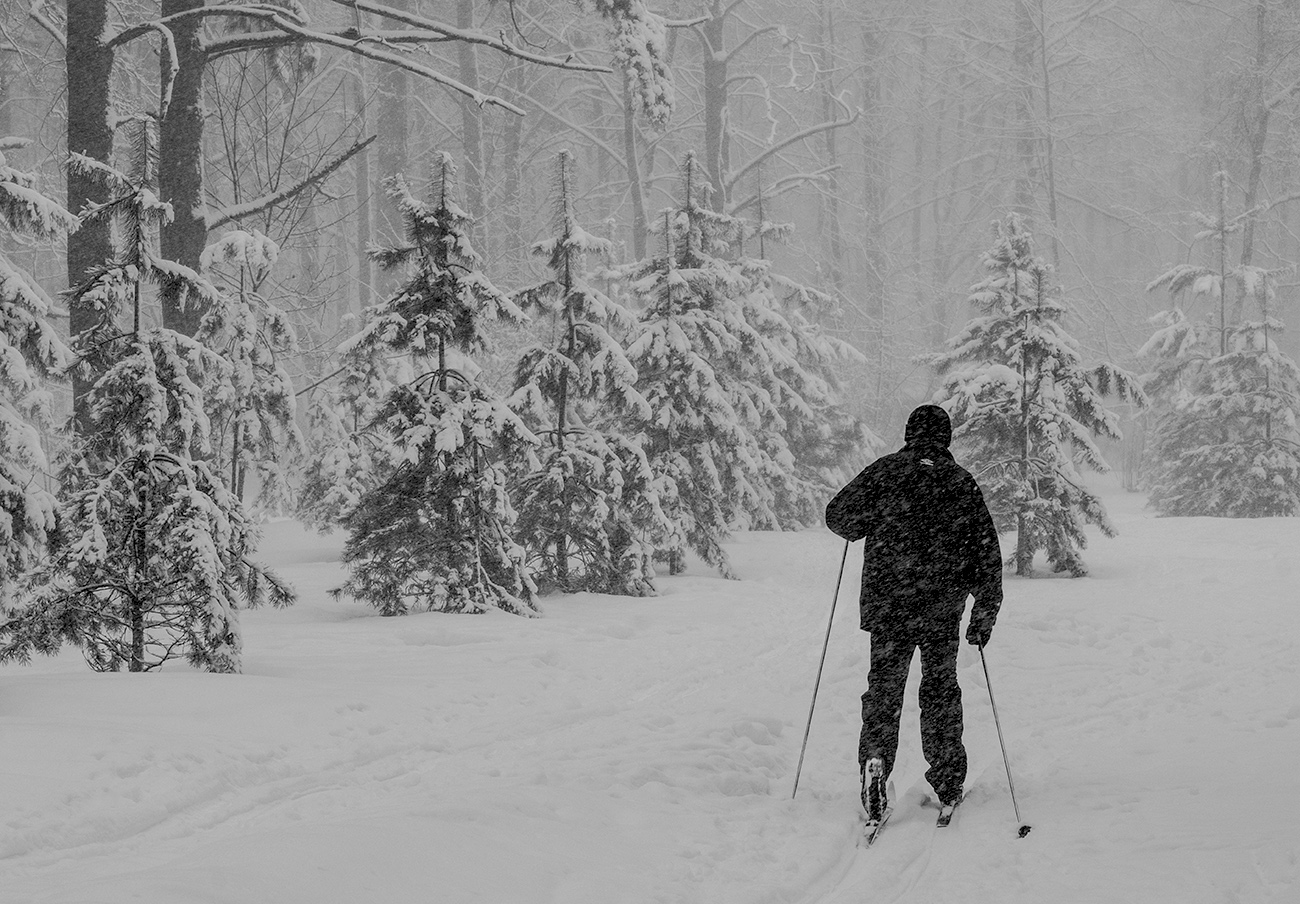Тула. На лыжне в ЦПКиО