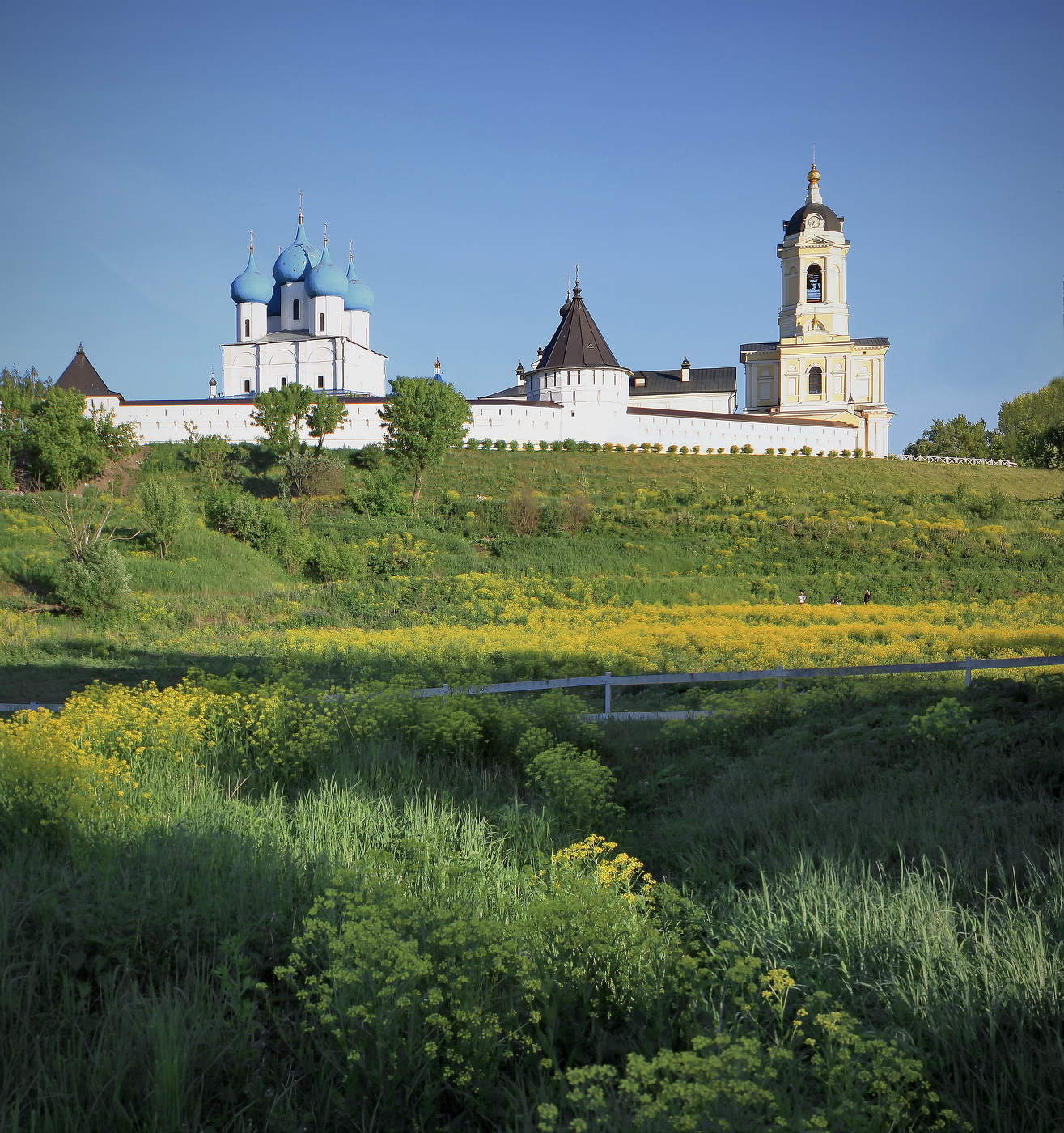 Летний сюжет у Высоцкого монастыря