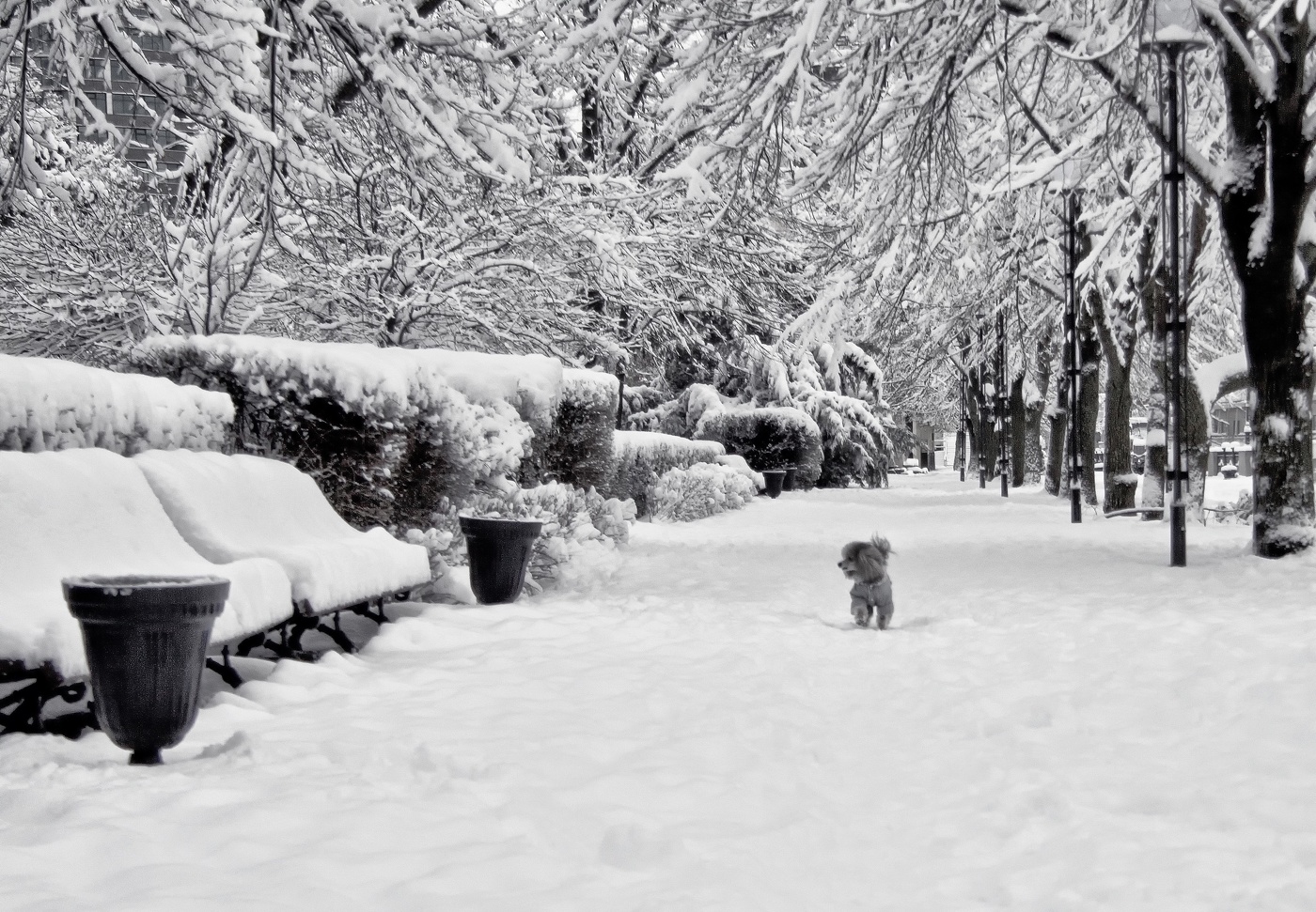 Утренняя прогулка