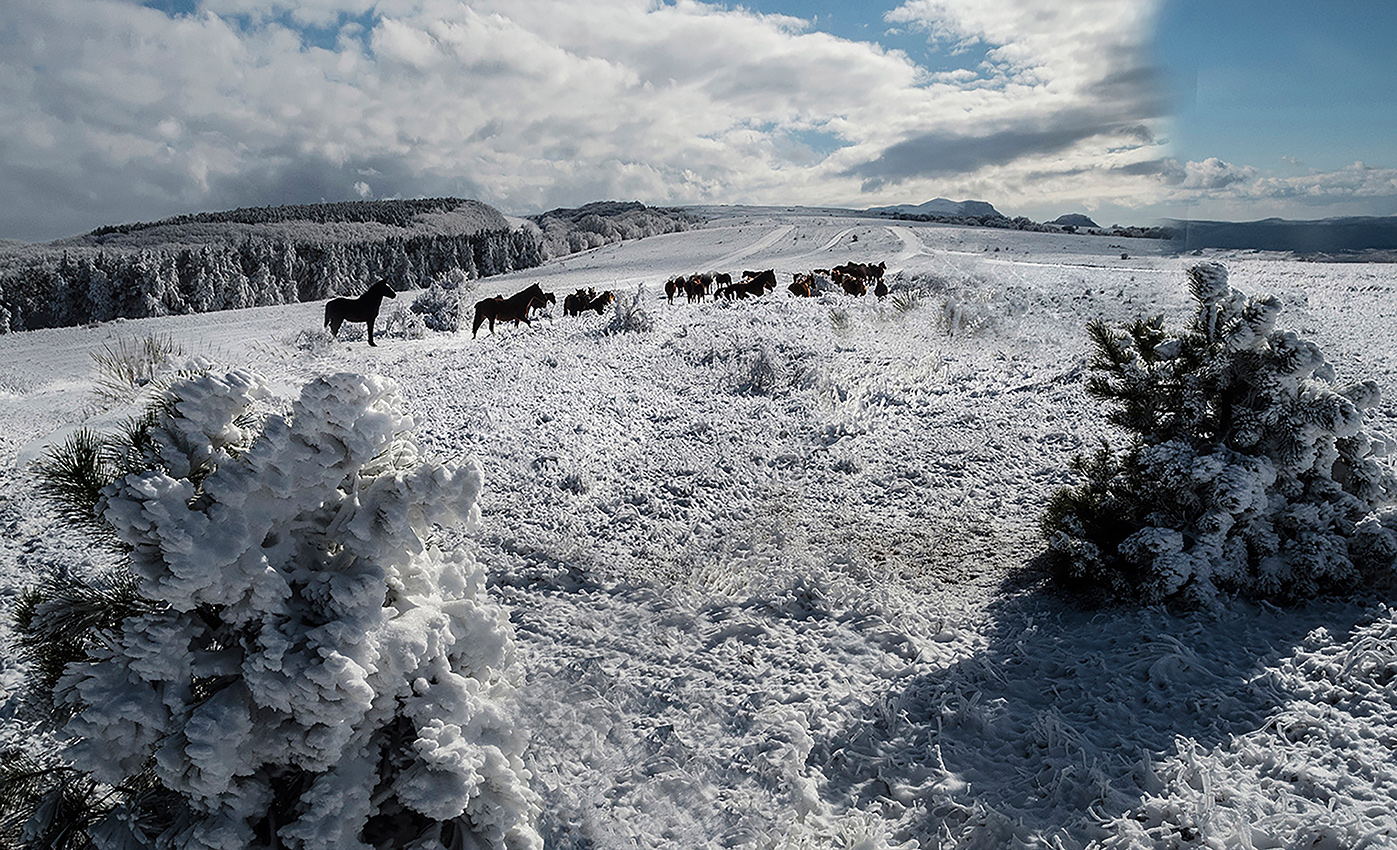 Зимняя фотка