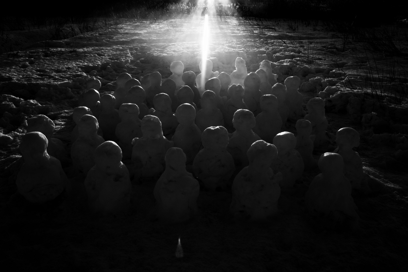 жизнь вокруг