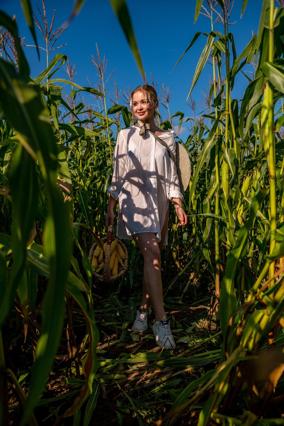 В тенях кукурузы