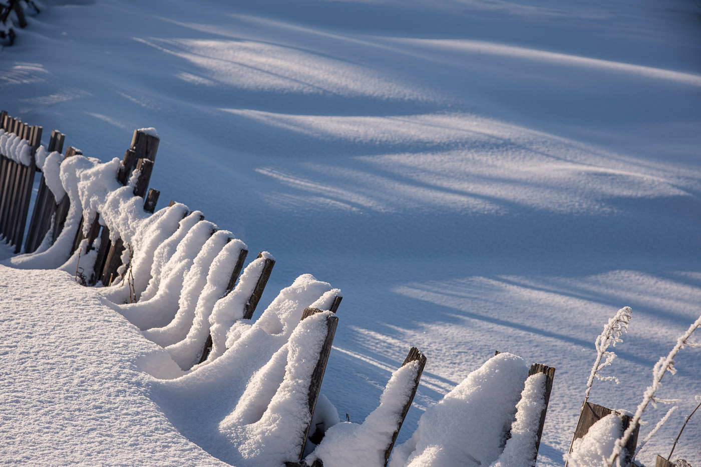 Свет и тени