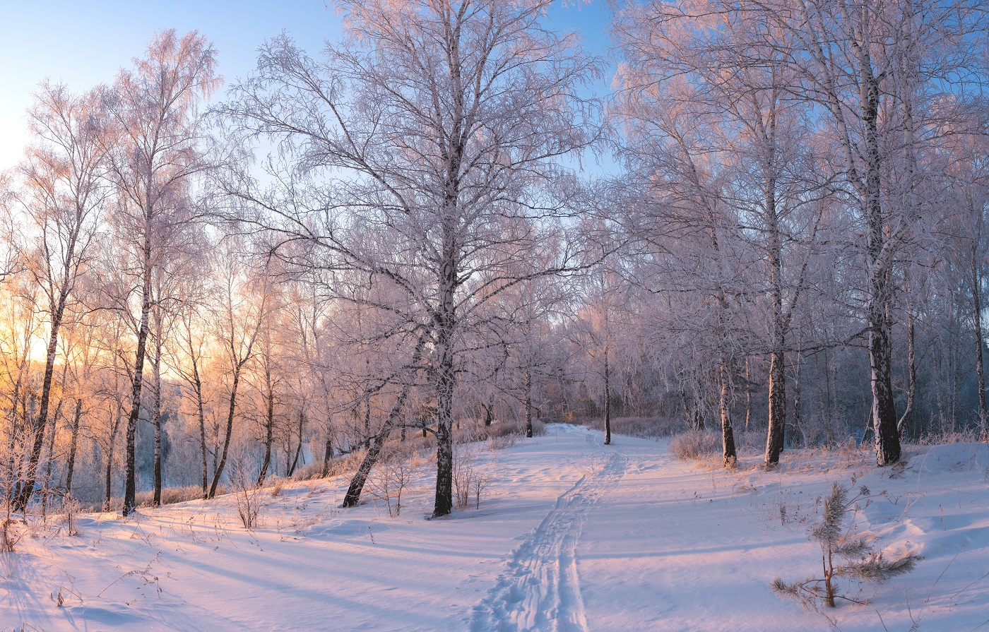 В свете уходящего дня