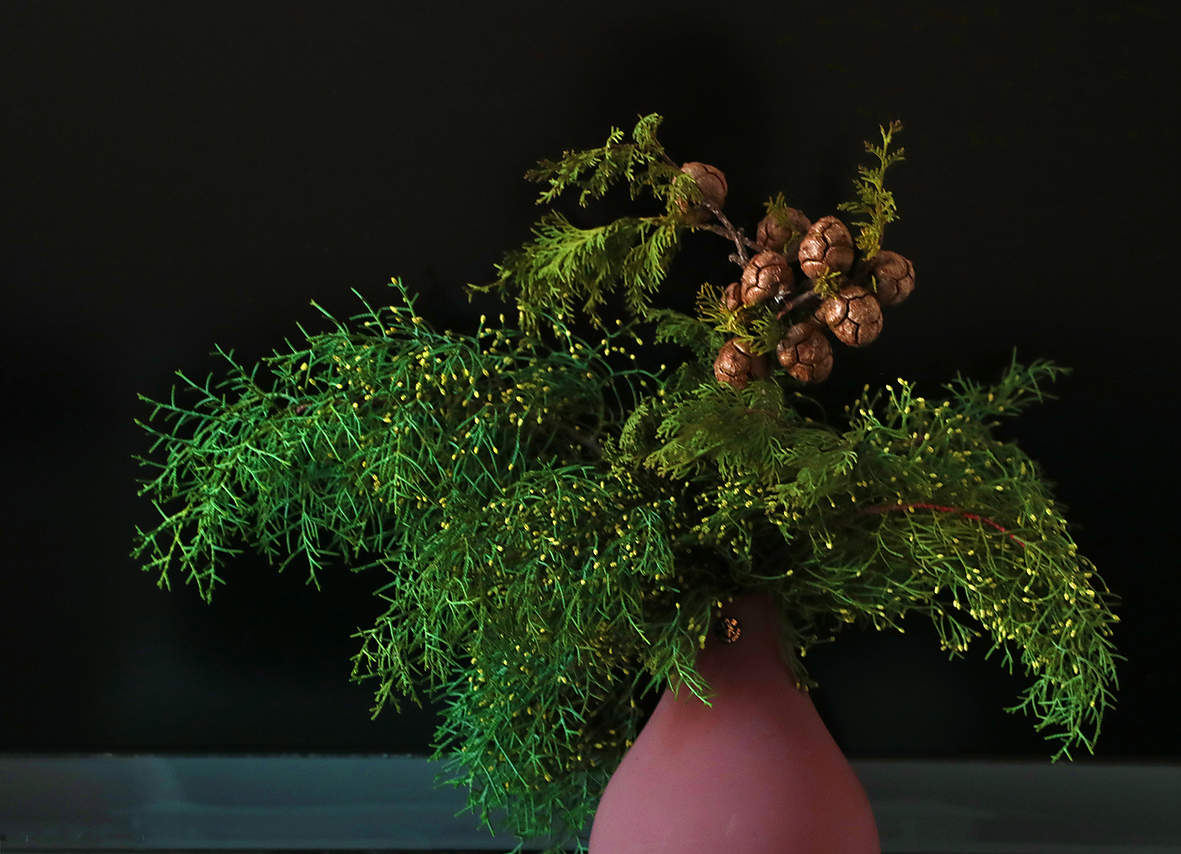 Зимний букет