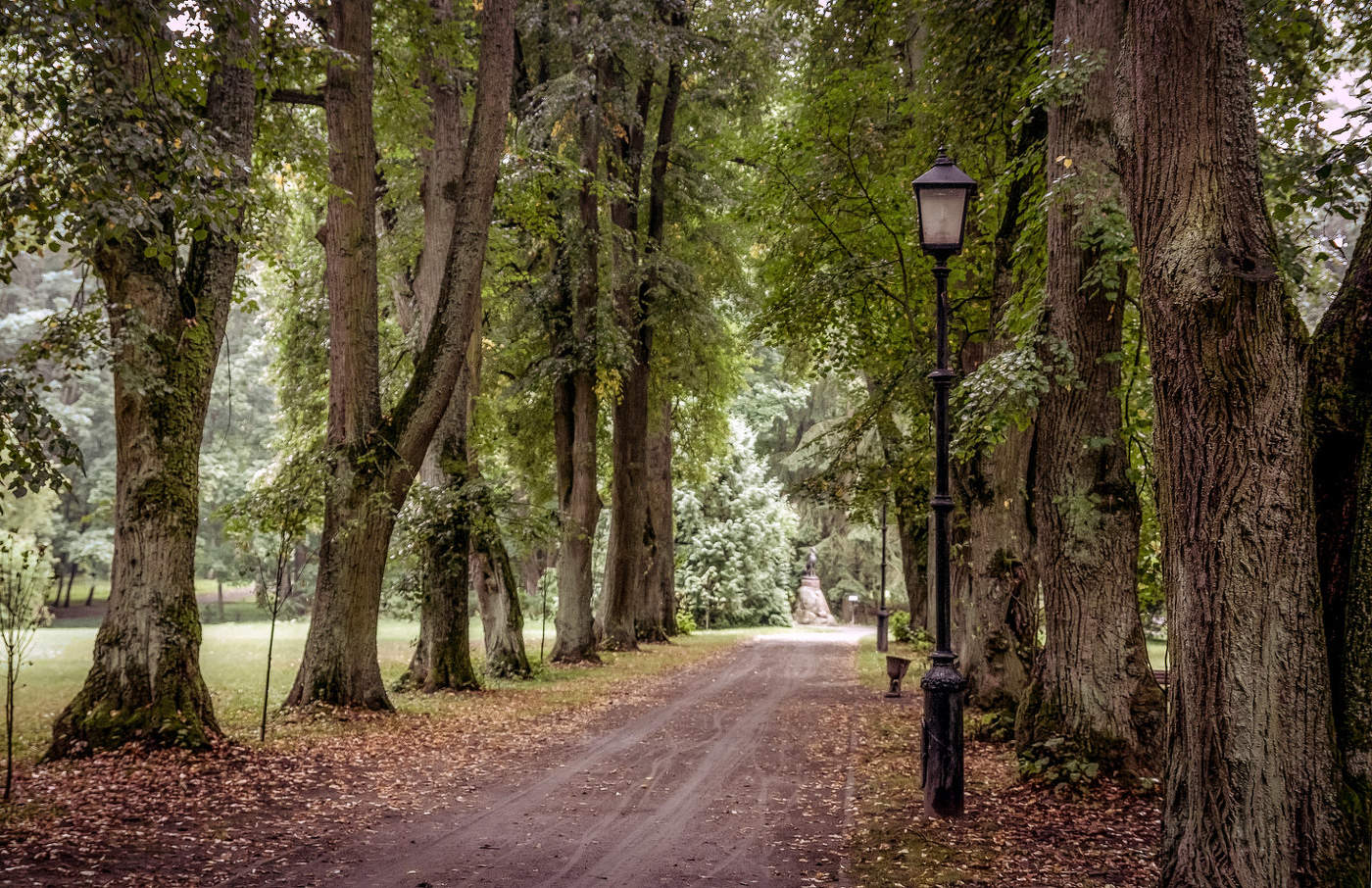 Аллея в старом парке
