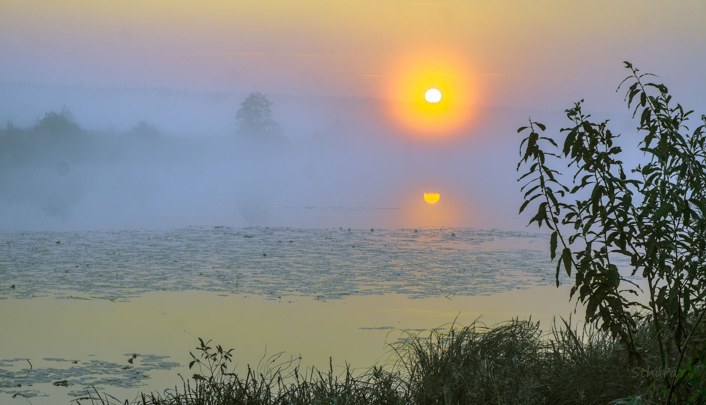 Два солнца сквозь туман.
