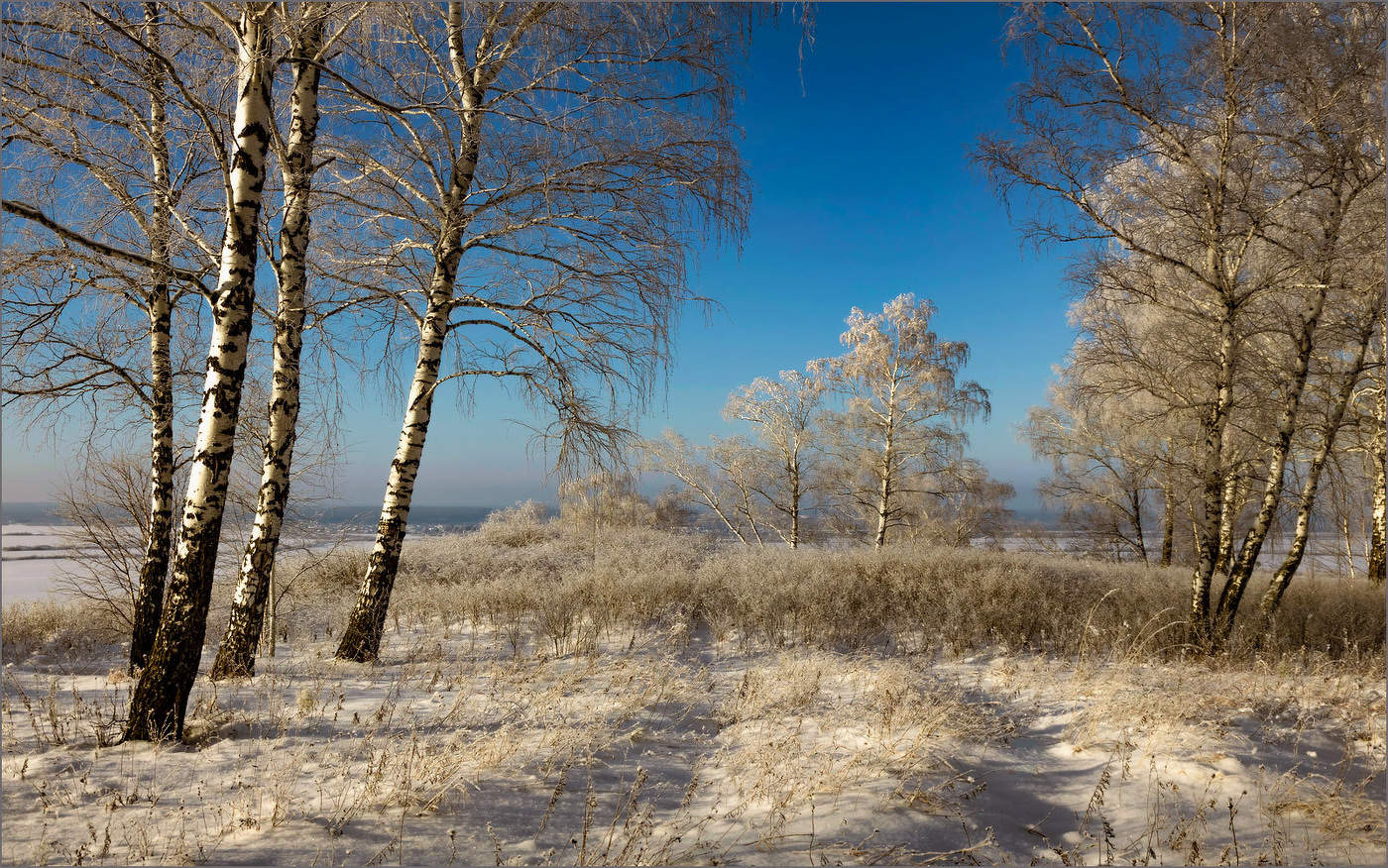 Зимние прогулки