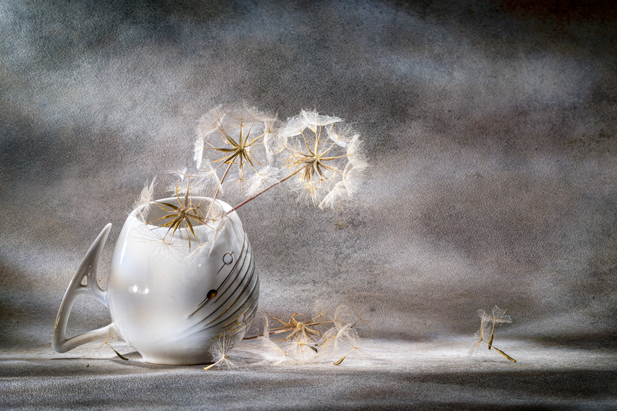 Still life with dandelion...