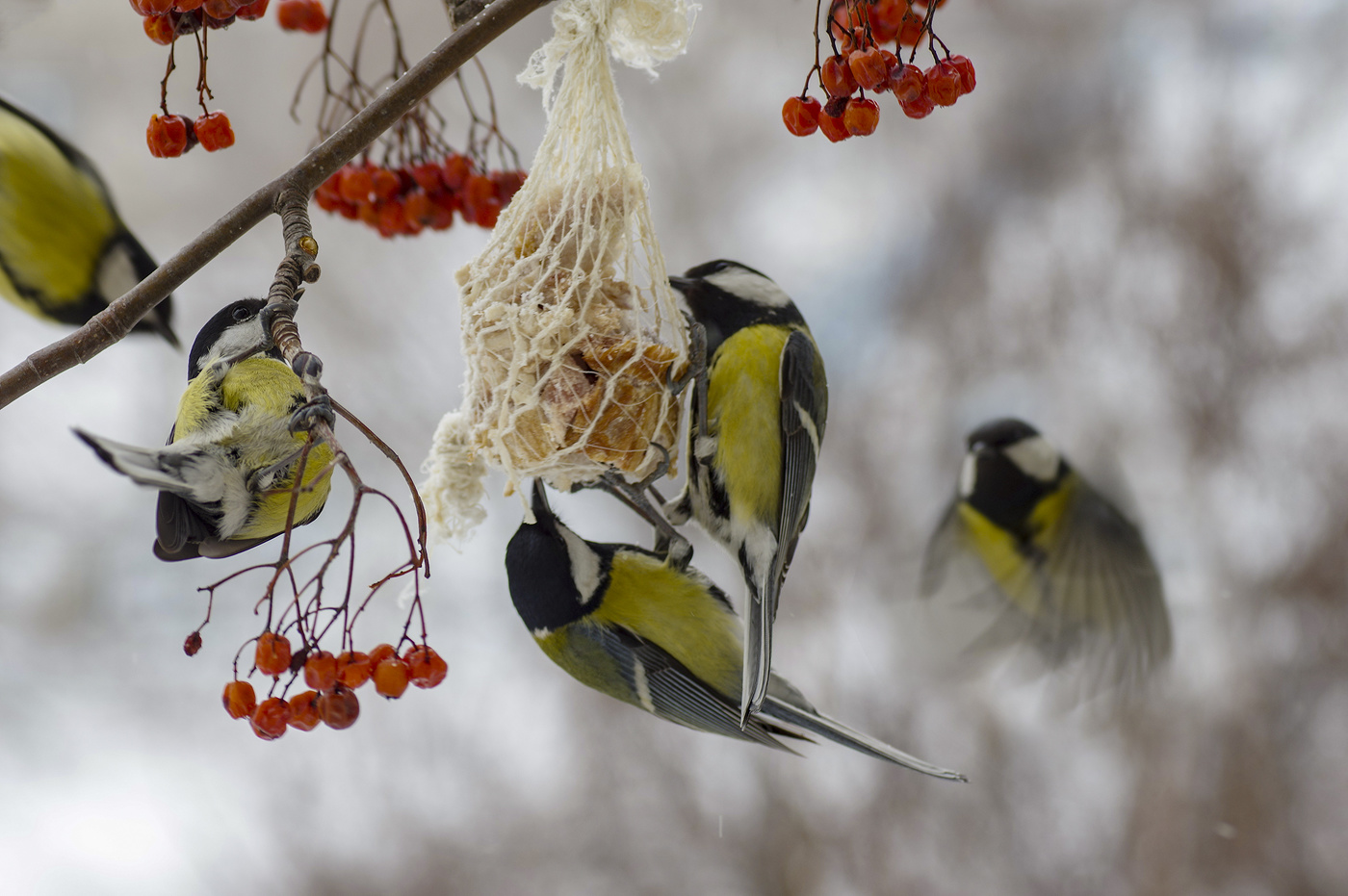 Поспеть к столу