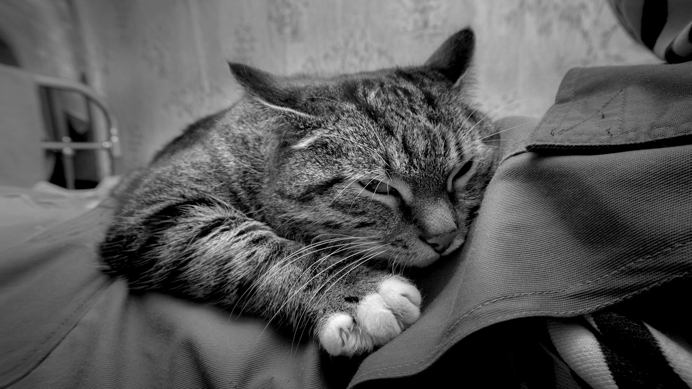 Жизнь вокруг