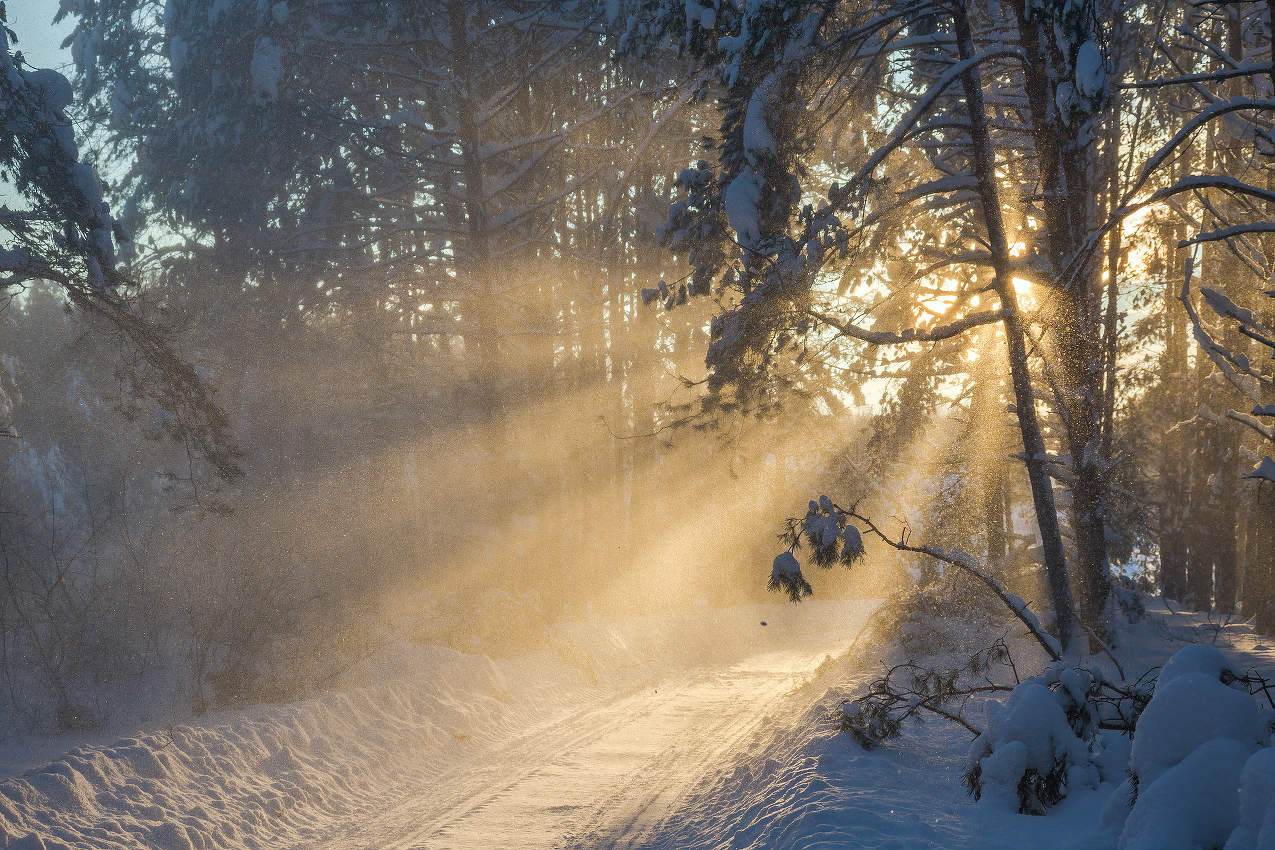 Бывают дивные моменты