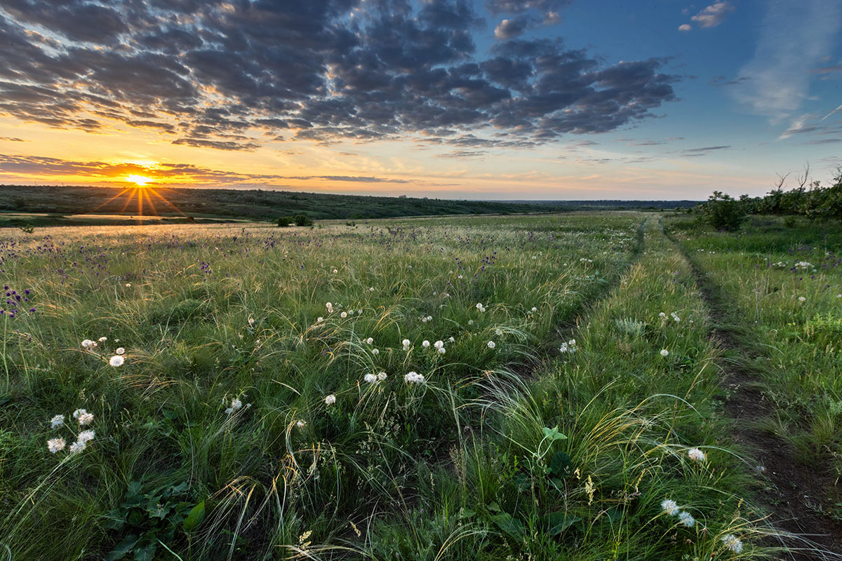 Вечер в мае