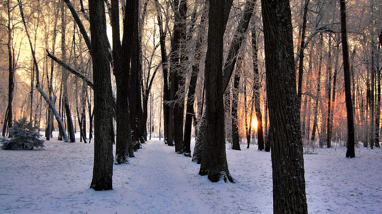 Разгорается вечерняя зимняя заря