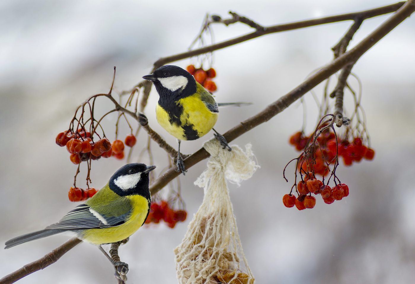 Ближе к людям