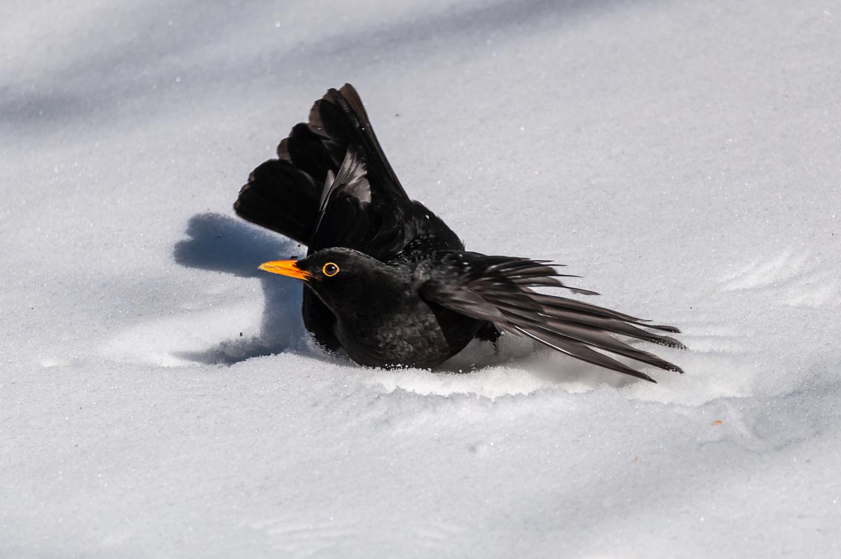 Вытащите меня отсюда!