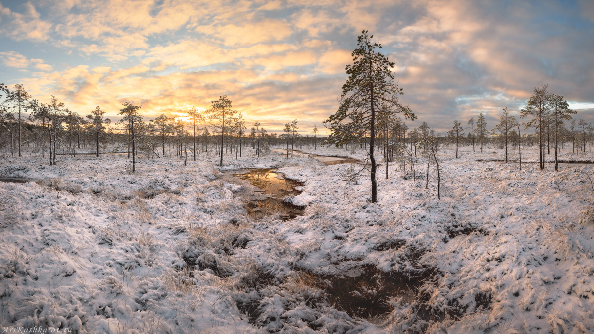 "Топи под снегом"