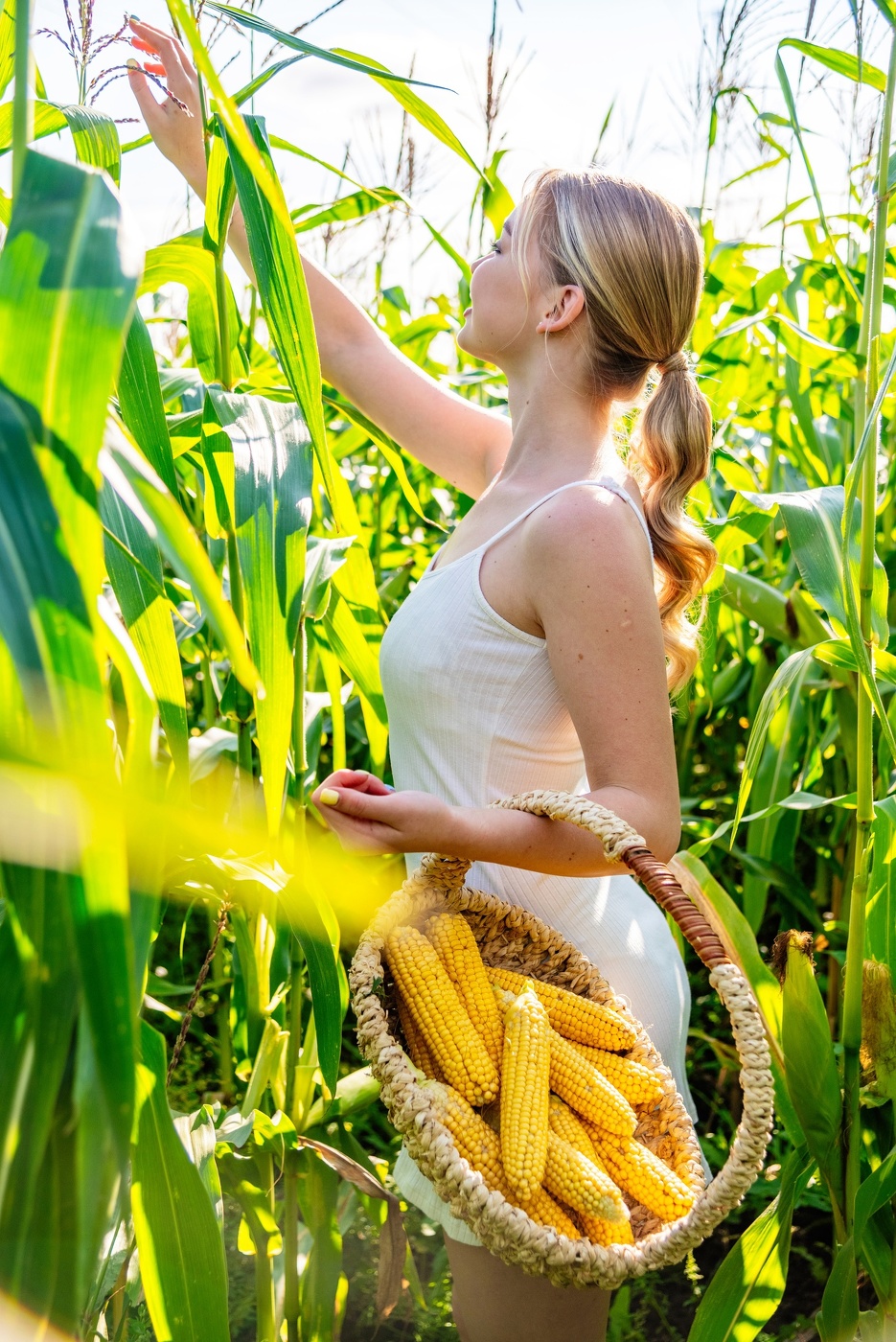 Корзинка с початками