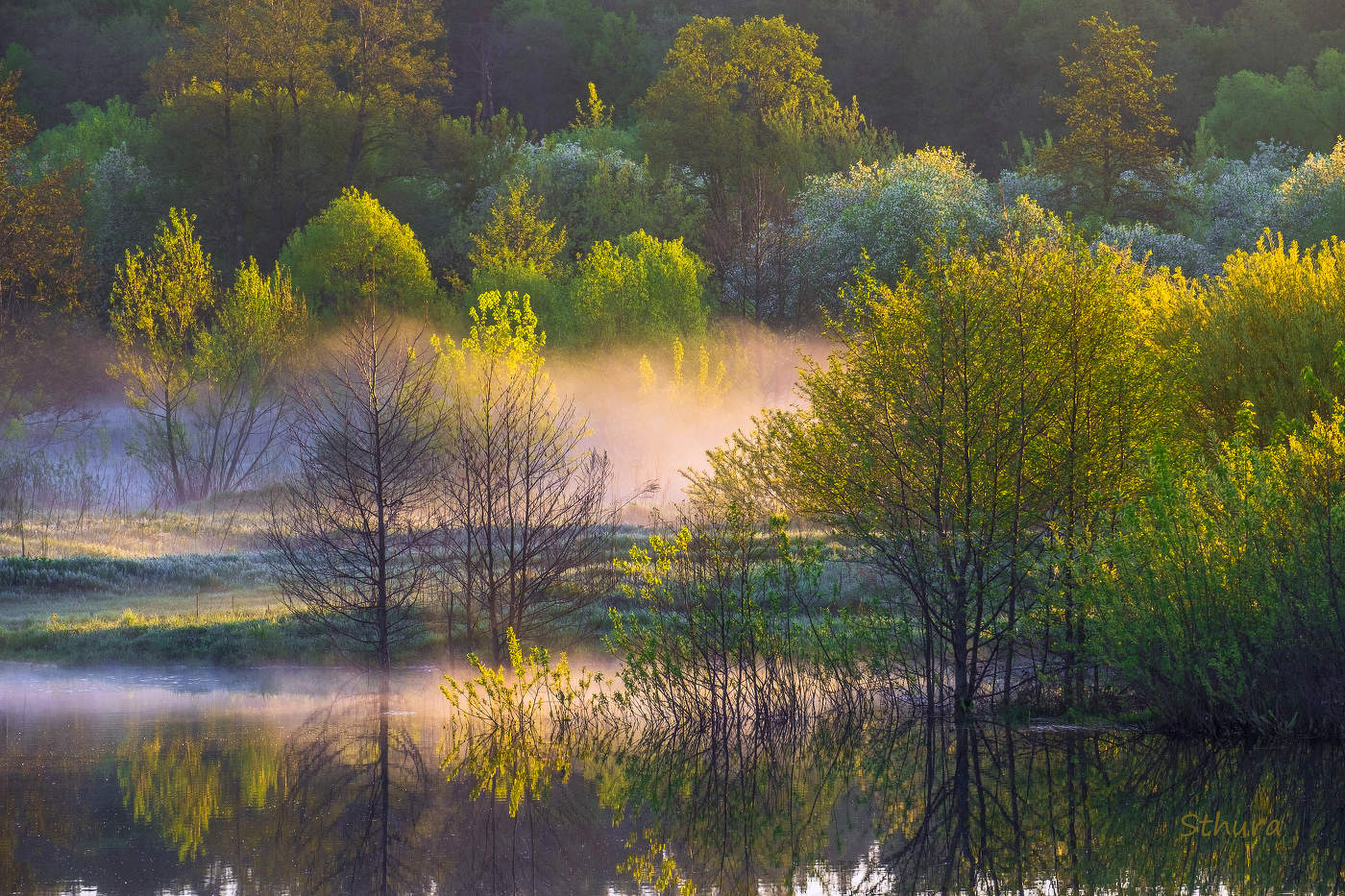 Весеннее утро.