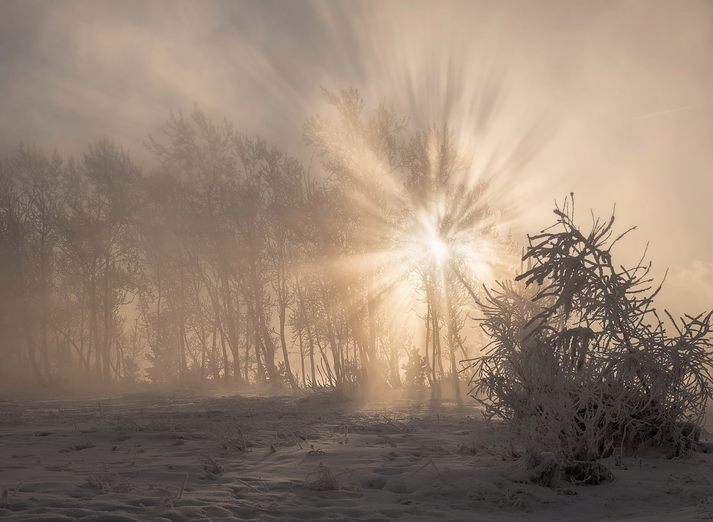 Морозный свет