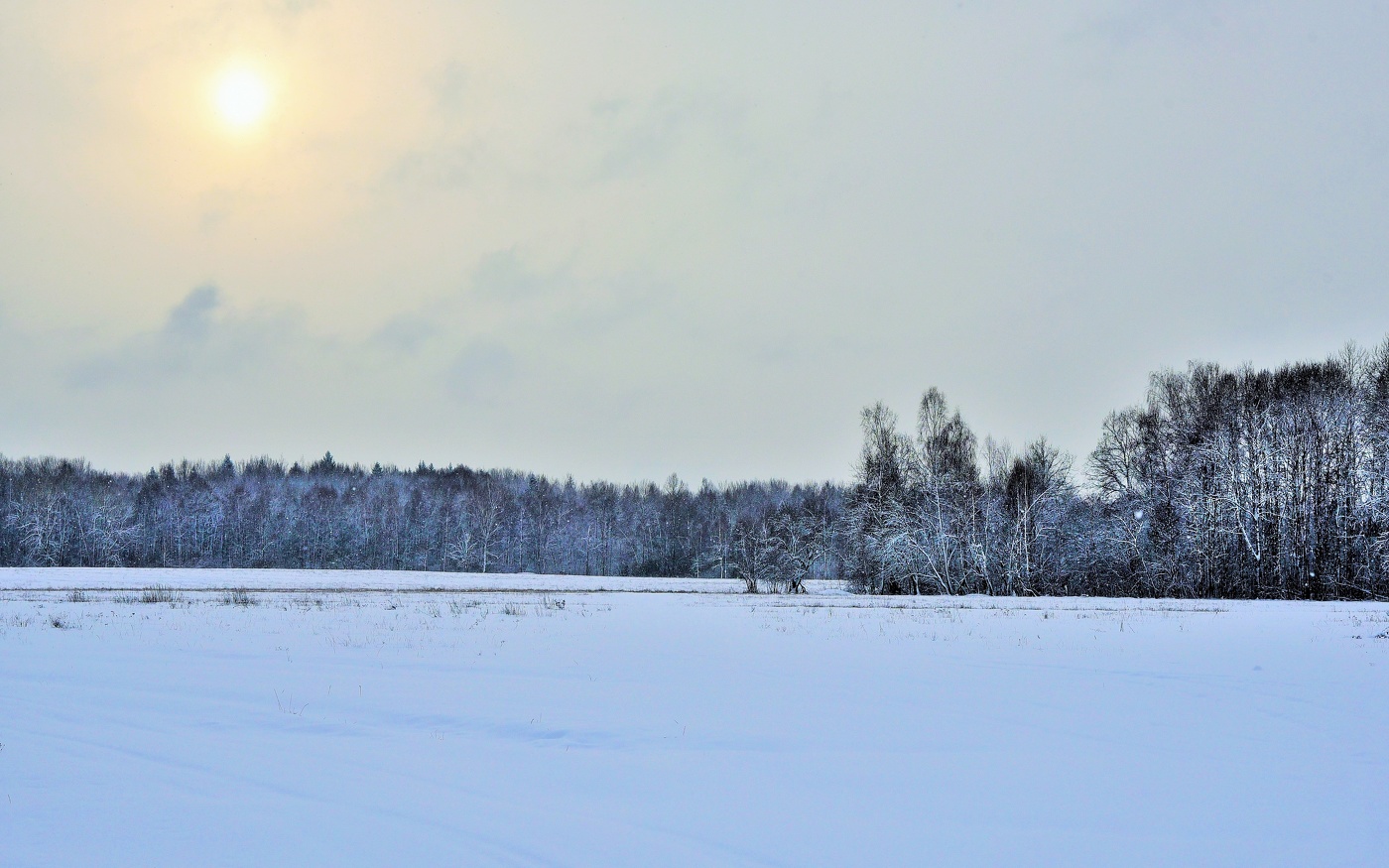 "Божьи дни коротки, солнце светит мало..."