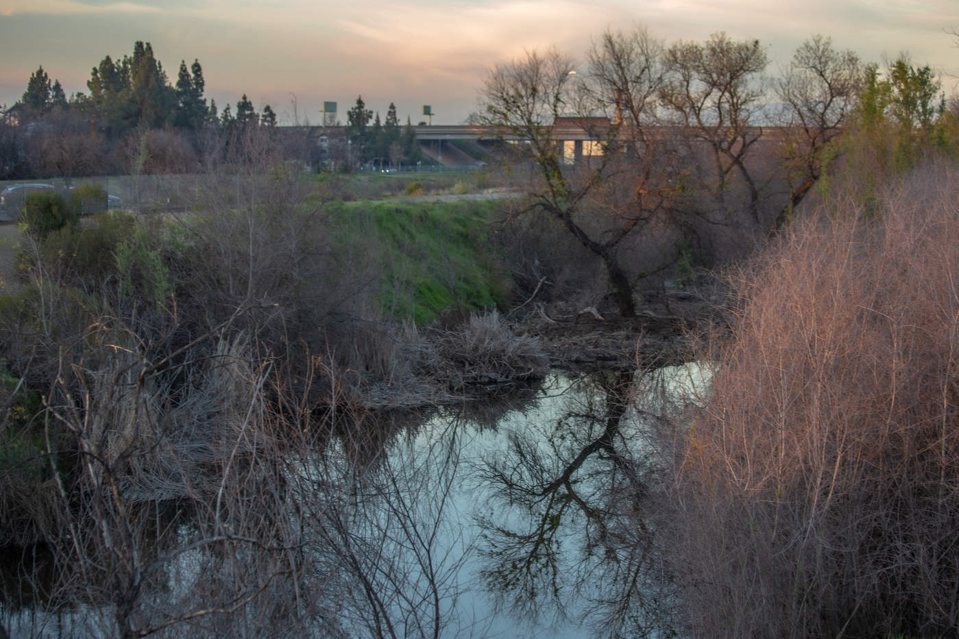 К вечеру у реки