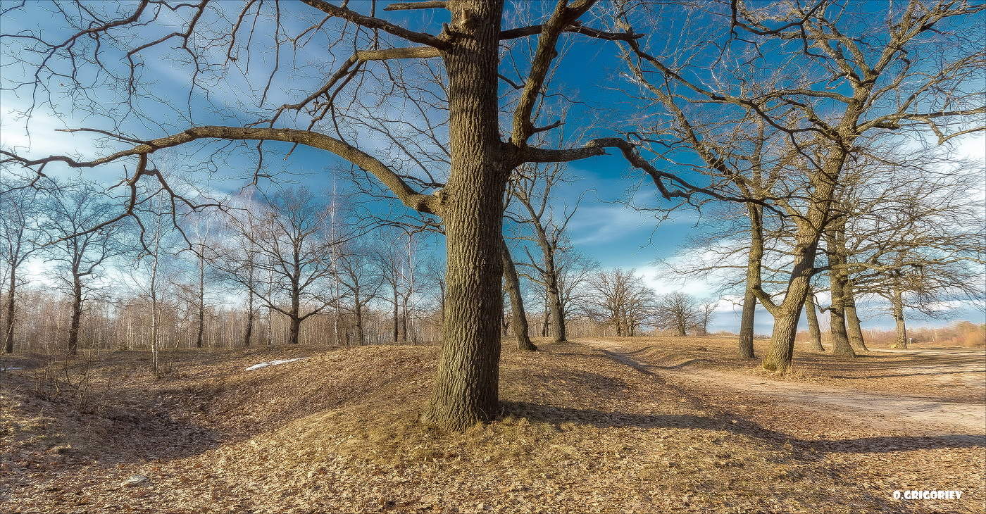 Подпирая Весеннее небо...