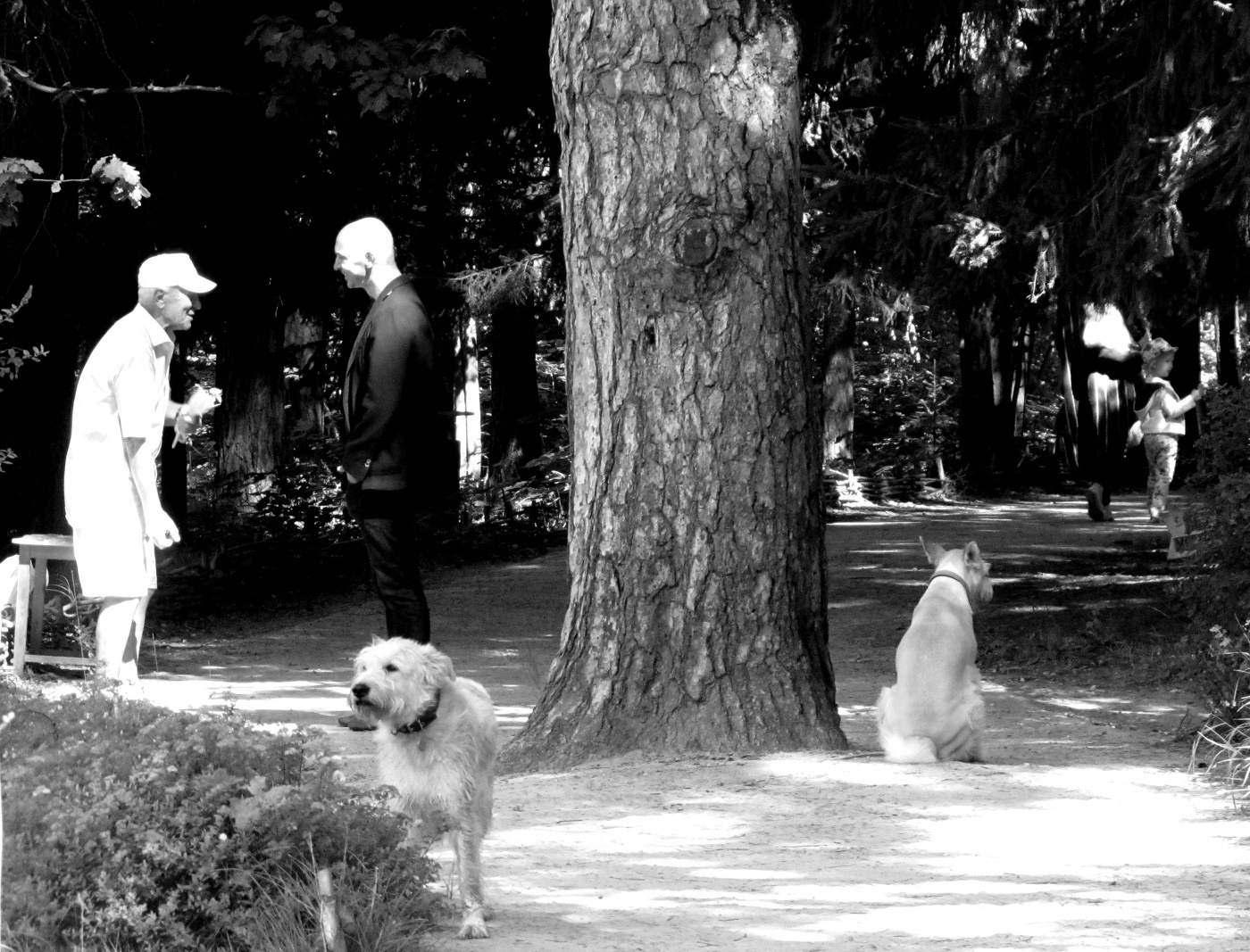 Несовпадение интересов.