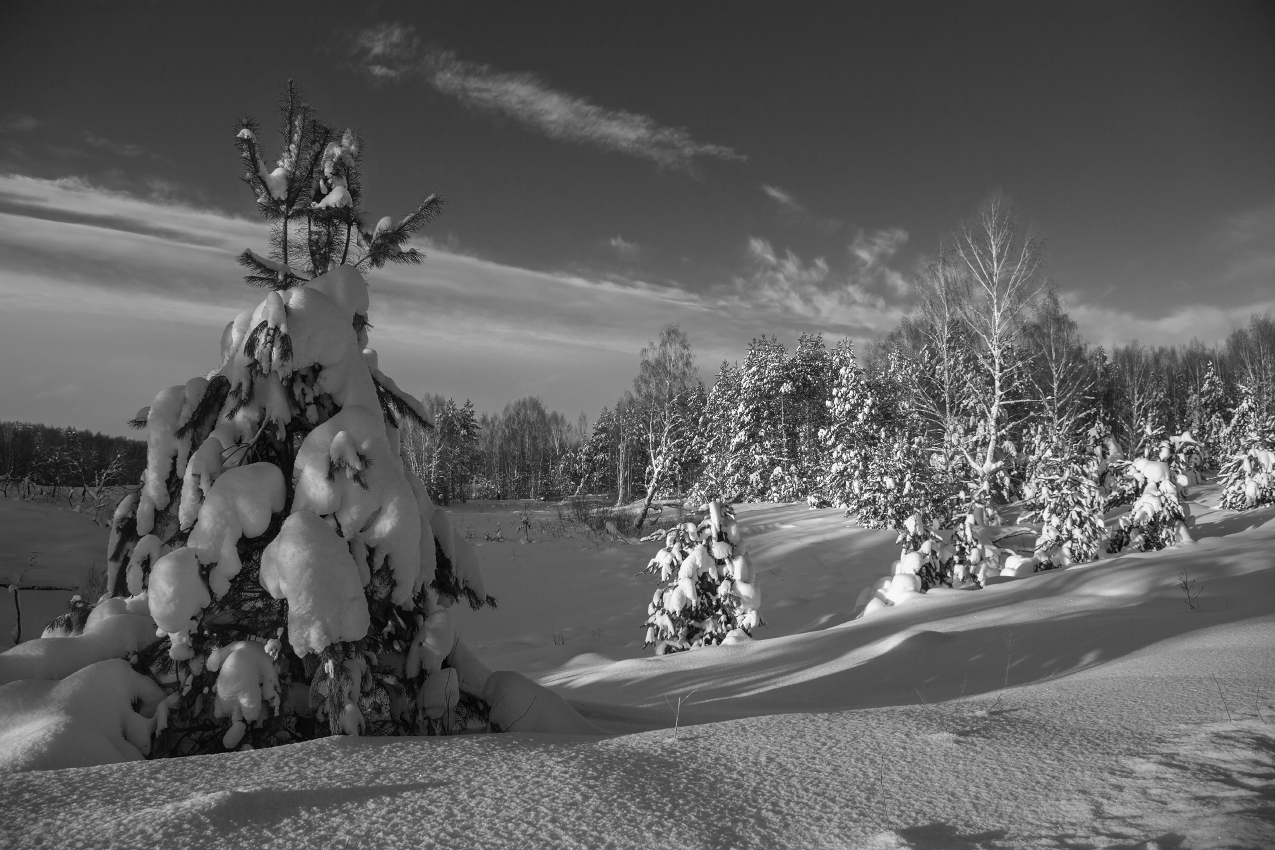 Под вечер. Комары.