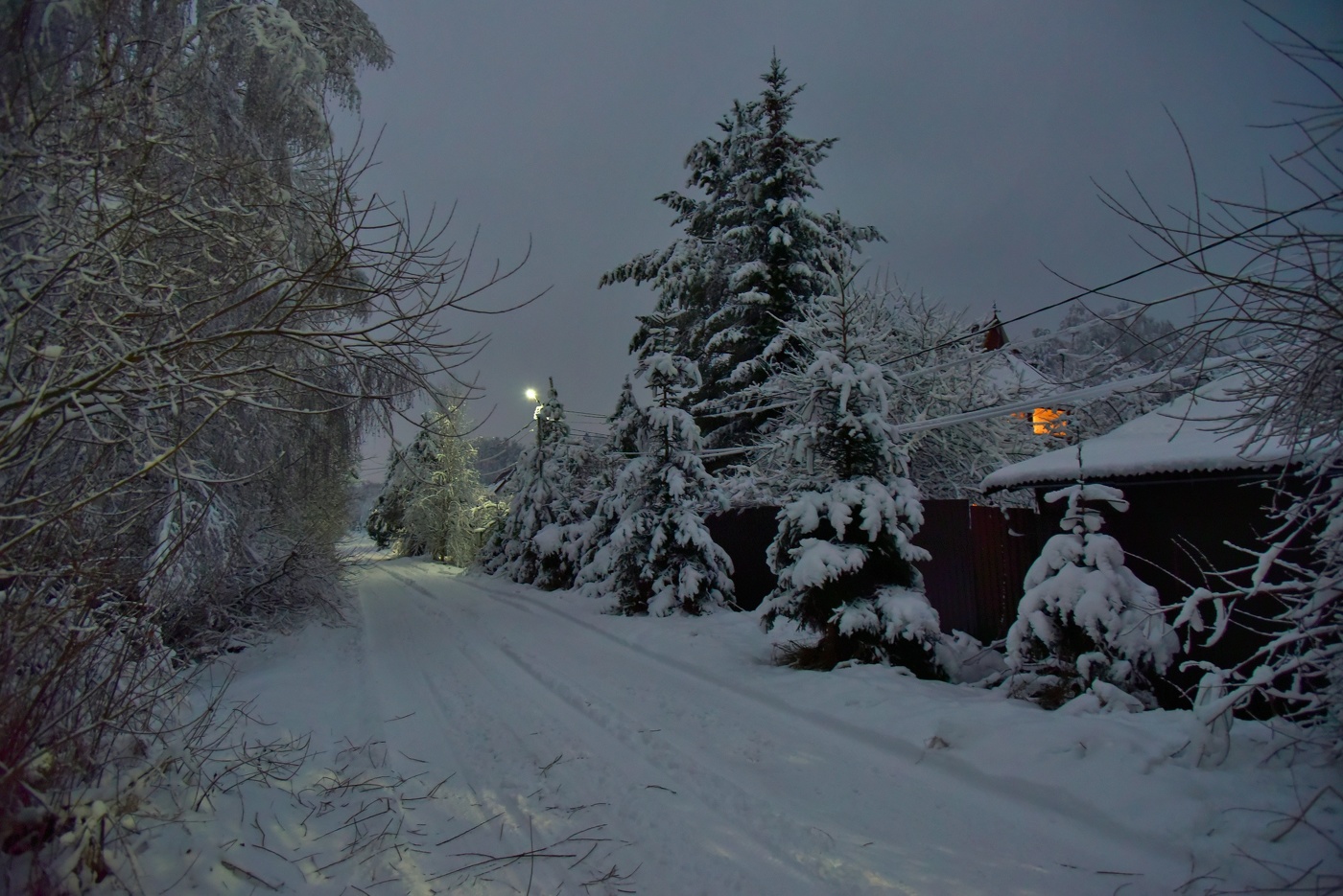 Зимних сумерек тонкие краски удивительно дороги мне..."