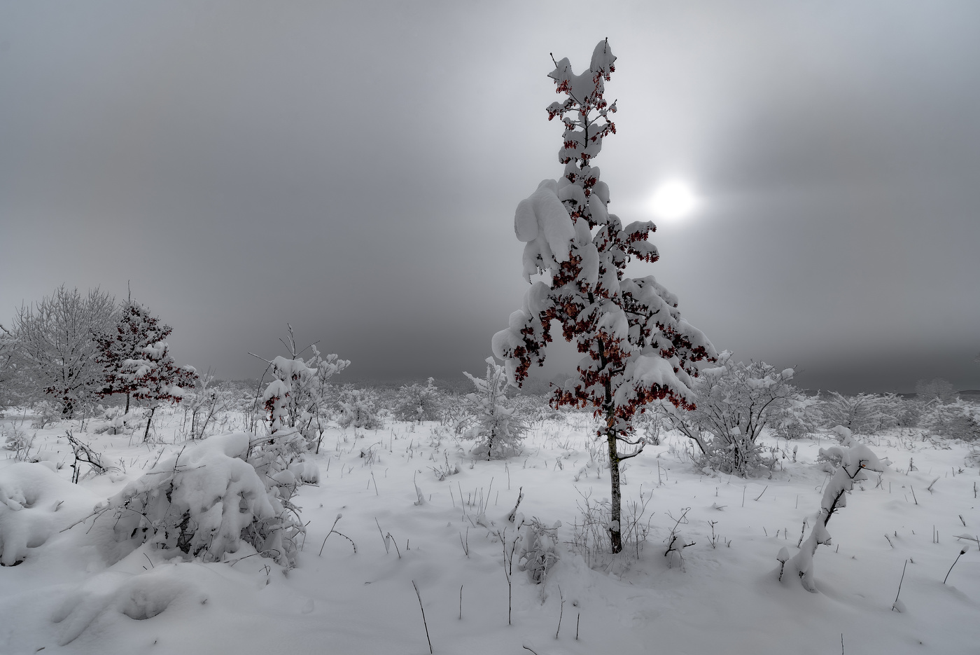 Одиночество ...