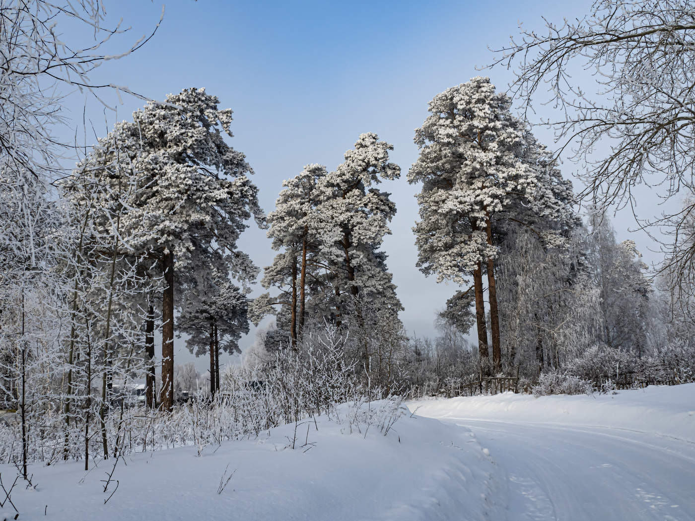 Три сестрички