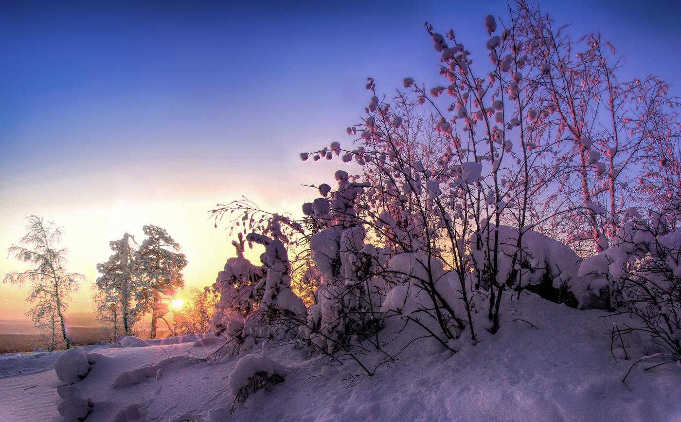 Утреннее солнце