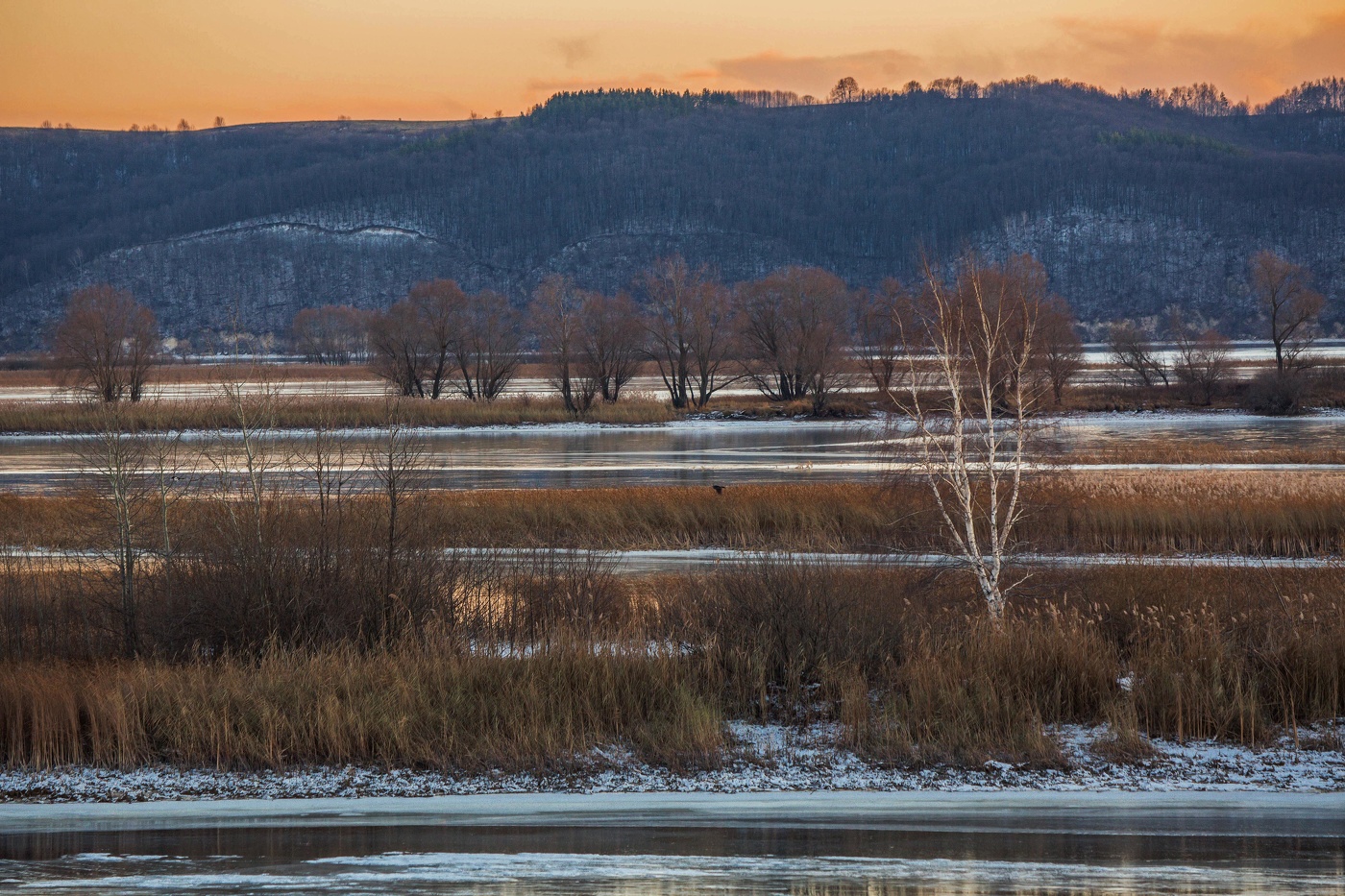 Волжские острова