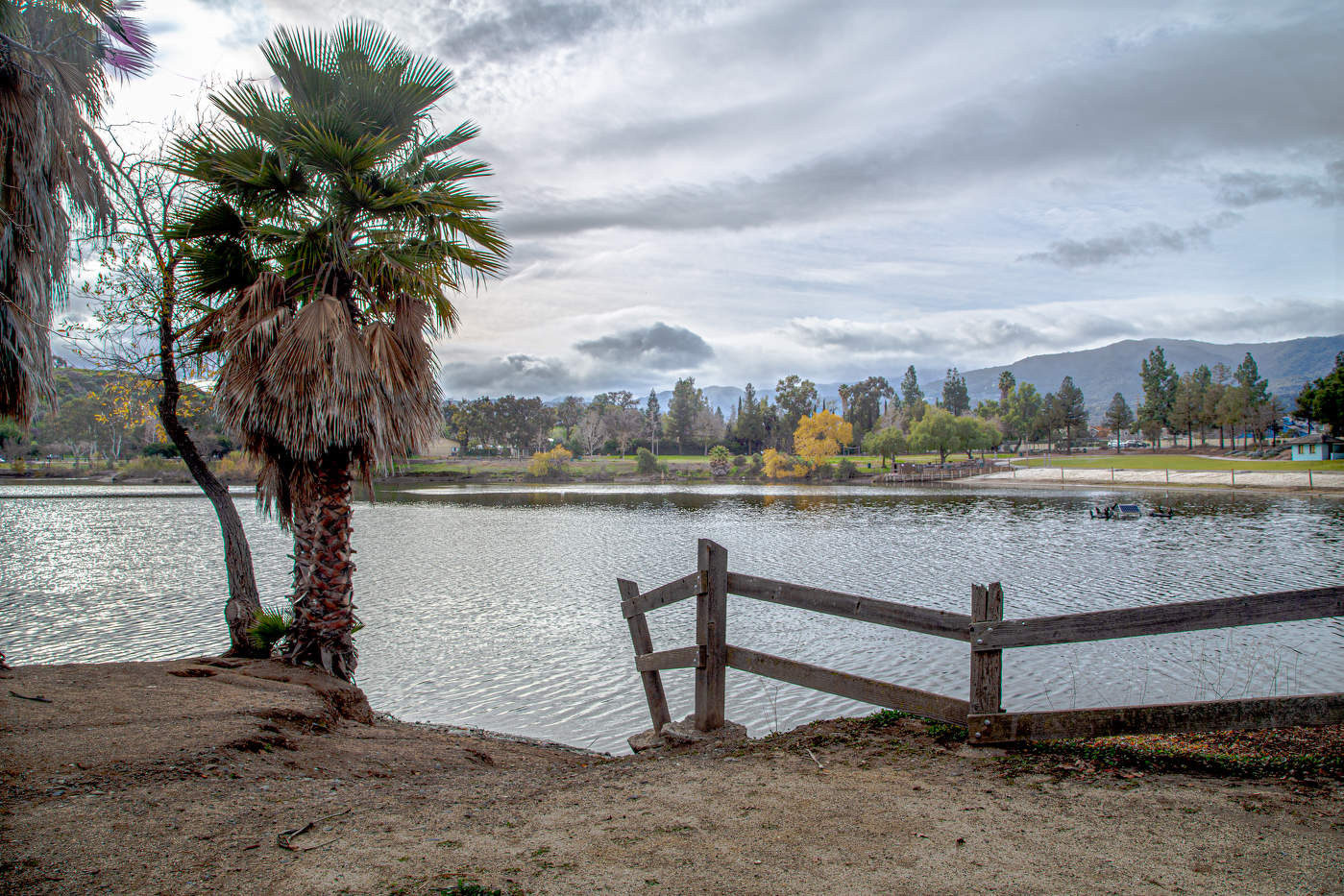 Серый день на озере