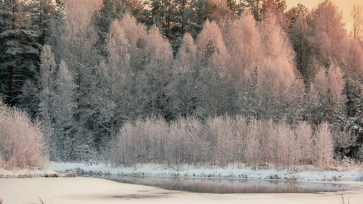 Вечерний свет на берегу озера
