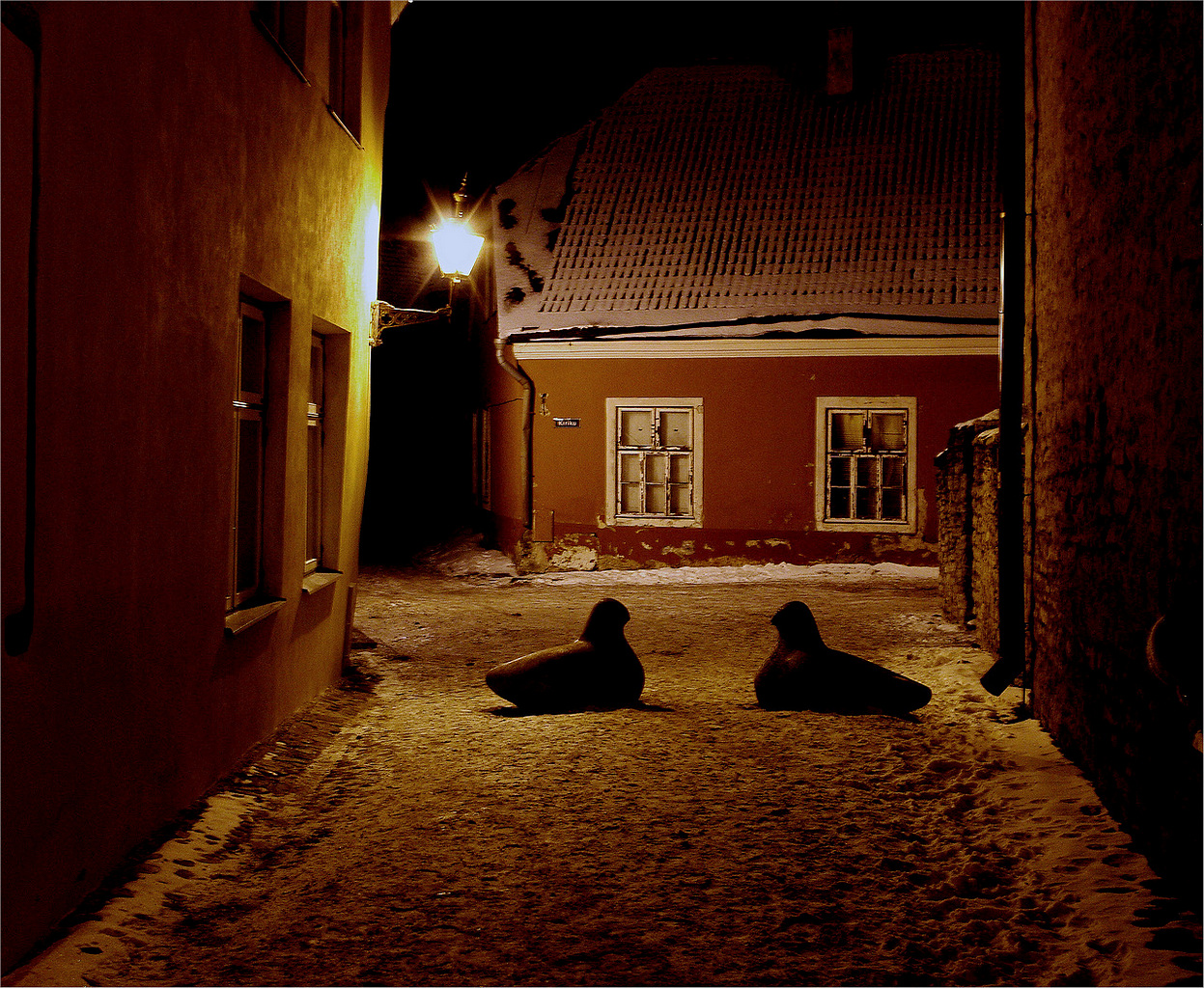 Ночь в Старом городе