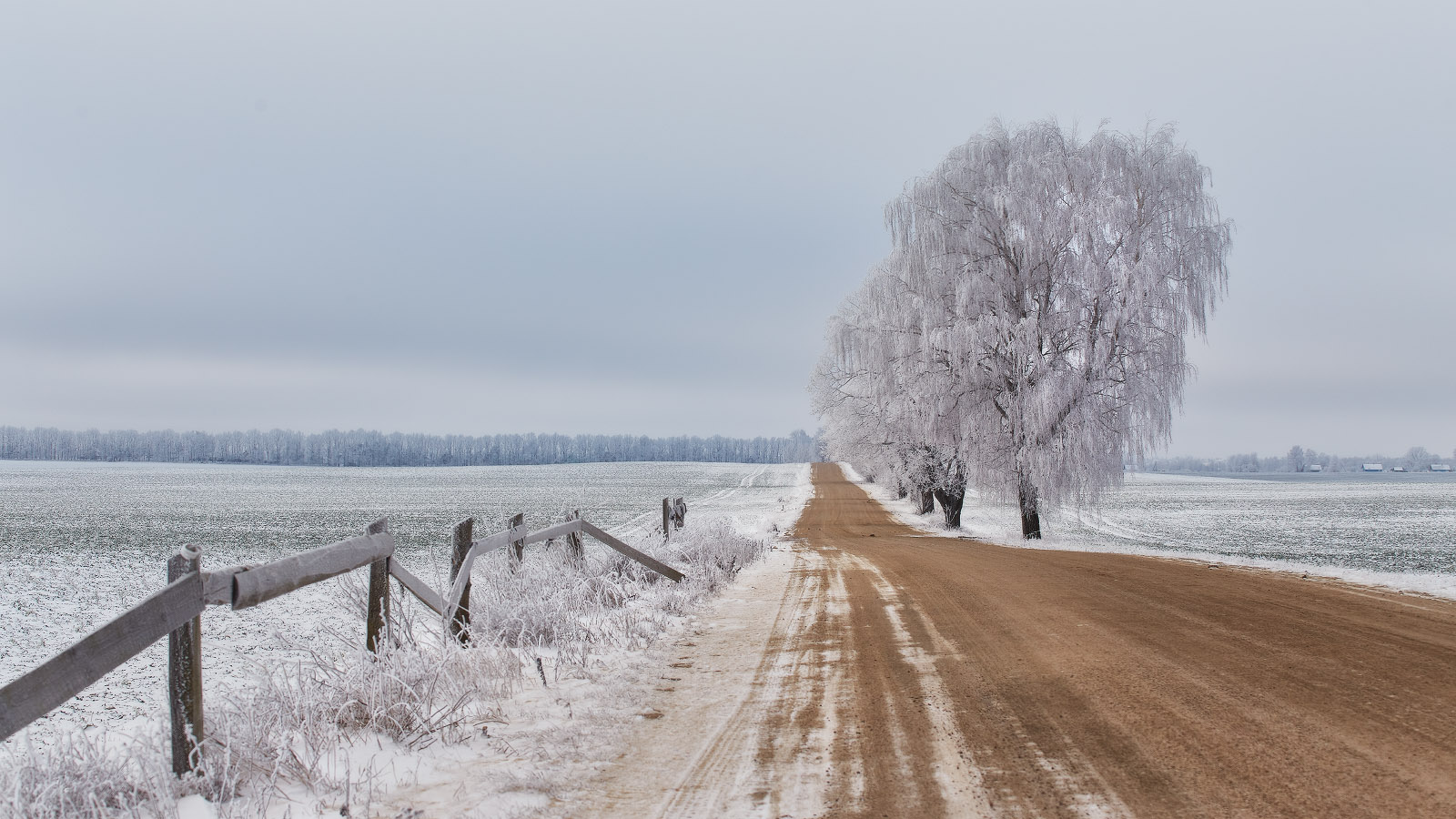 Зимняя Дорога