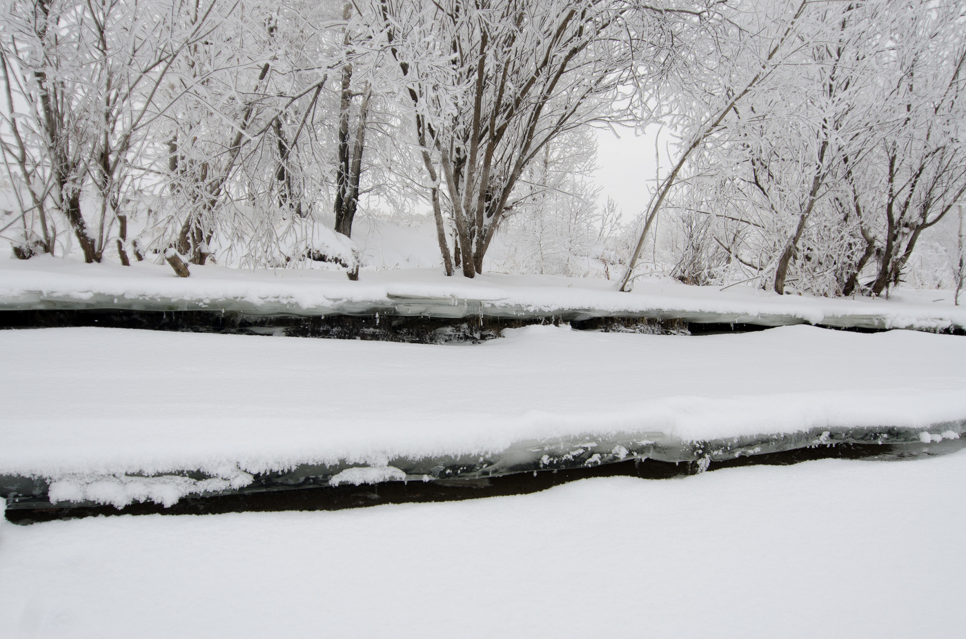 Зимняя прогулка вдоль реки Енисей.