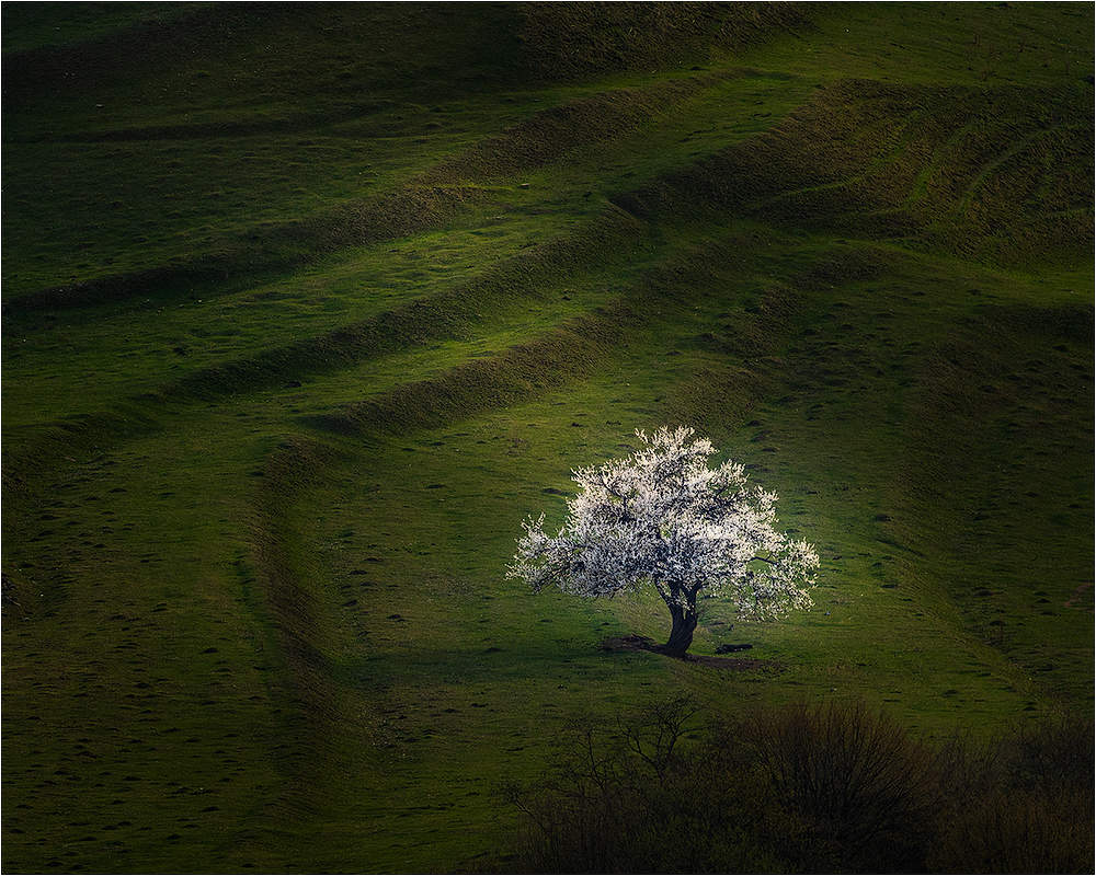 Одиночество...