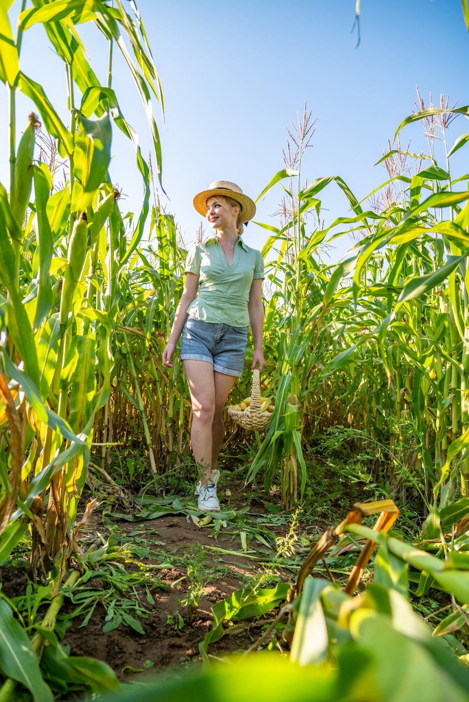 Время сборов