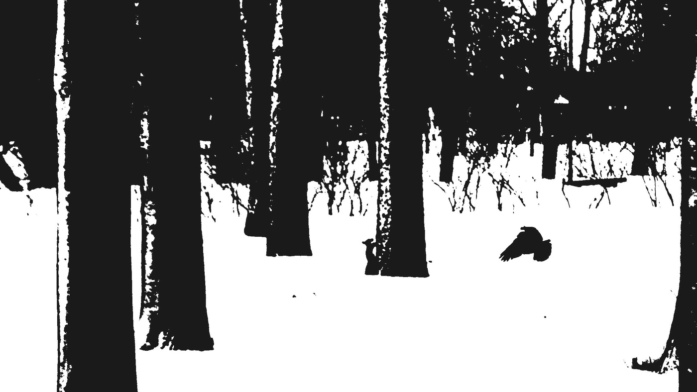 Жизнь вокруг