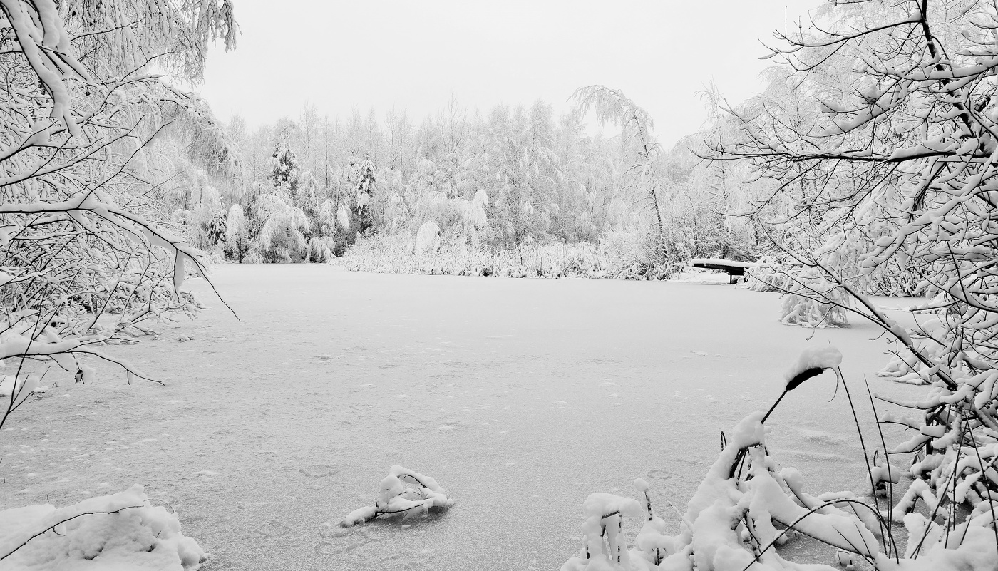Мороз без солнца, но день чудесный ...