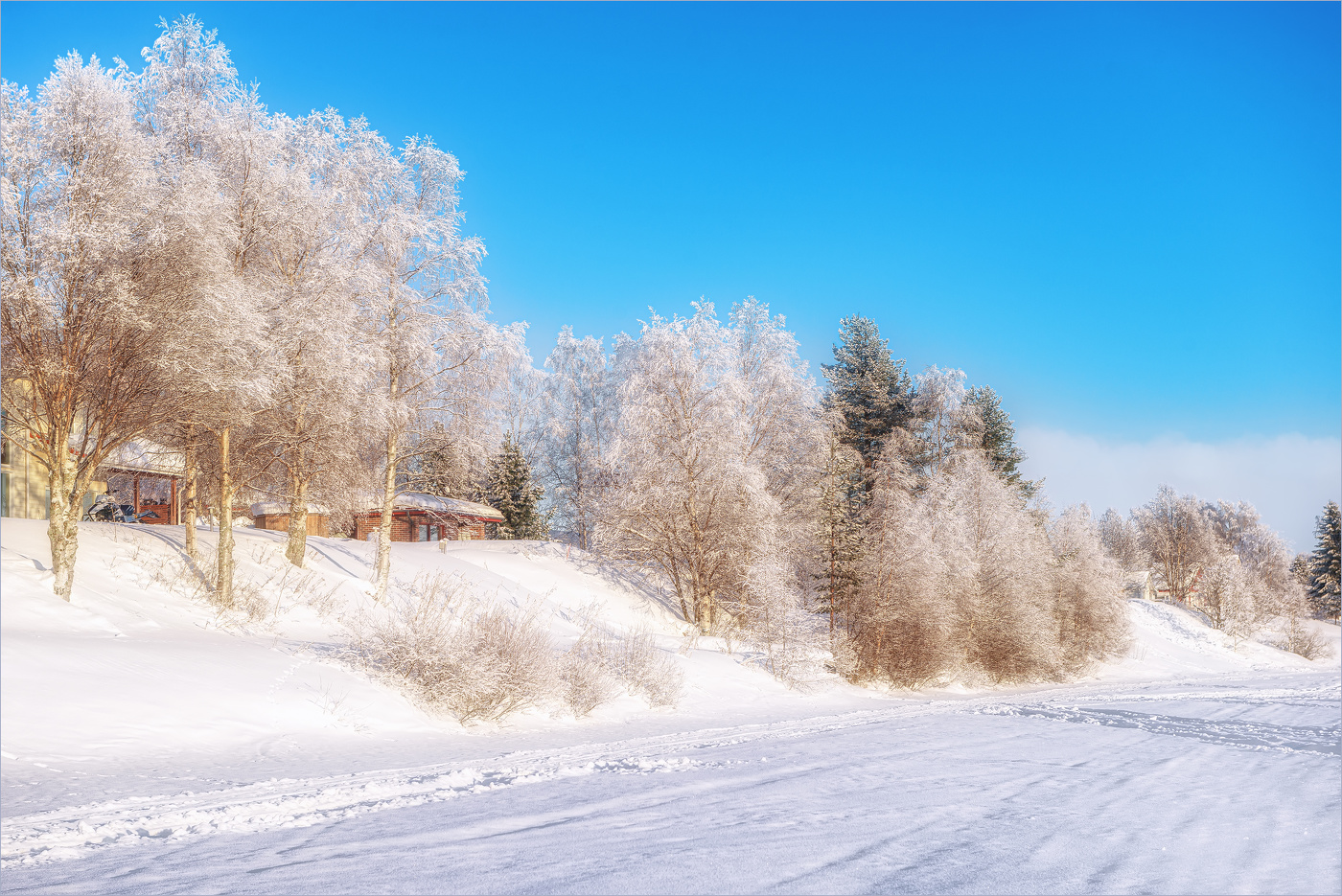 На зимнем солнце