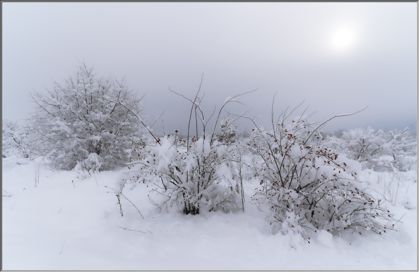 Зимняя ягода