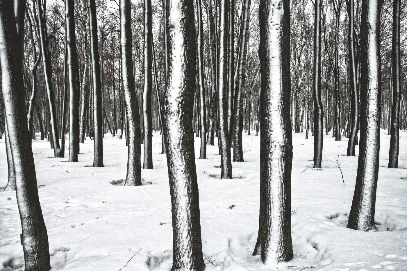 Жизнь вокруг