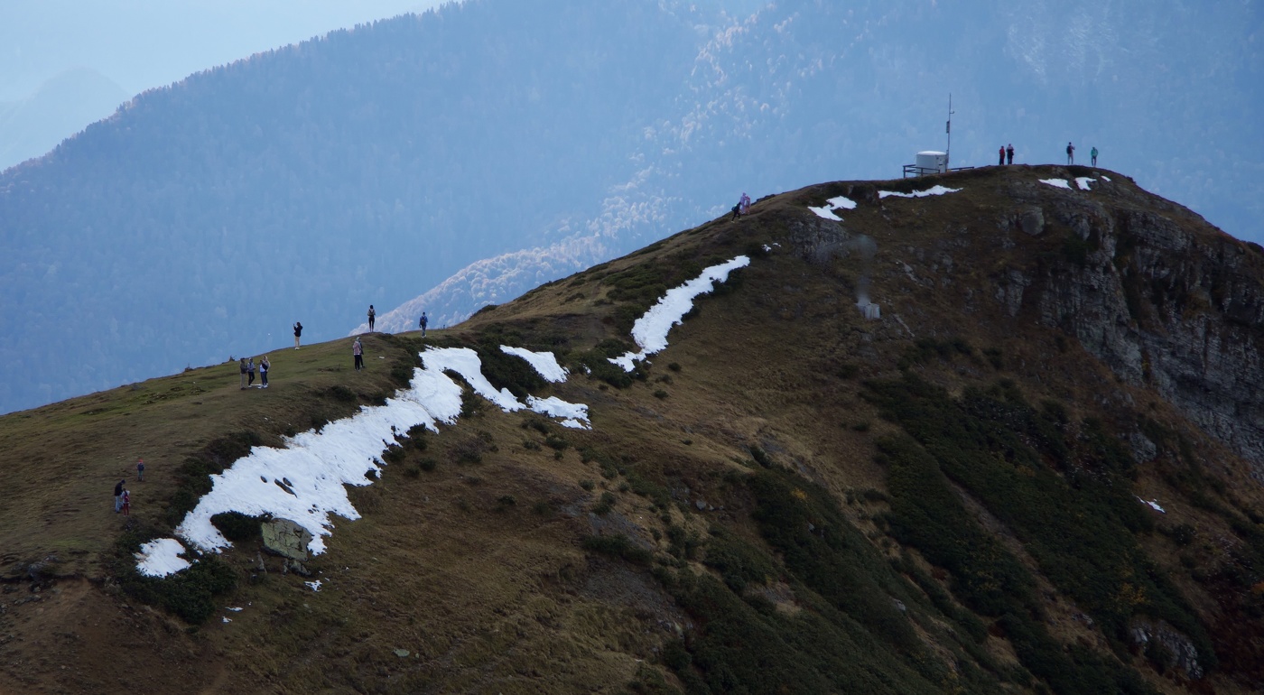 Куда приводят мечты