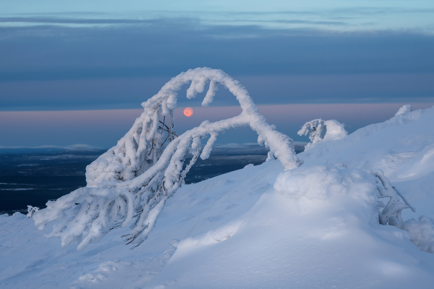 Морозное утро. Заполярный минимализм Кандалакши.