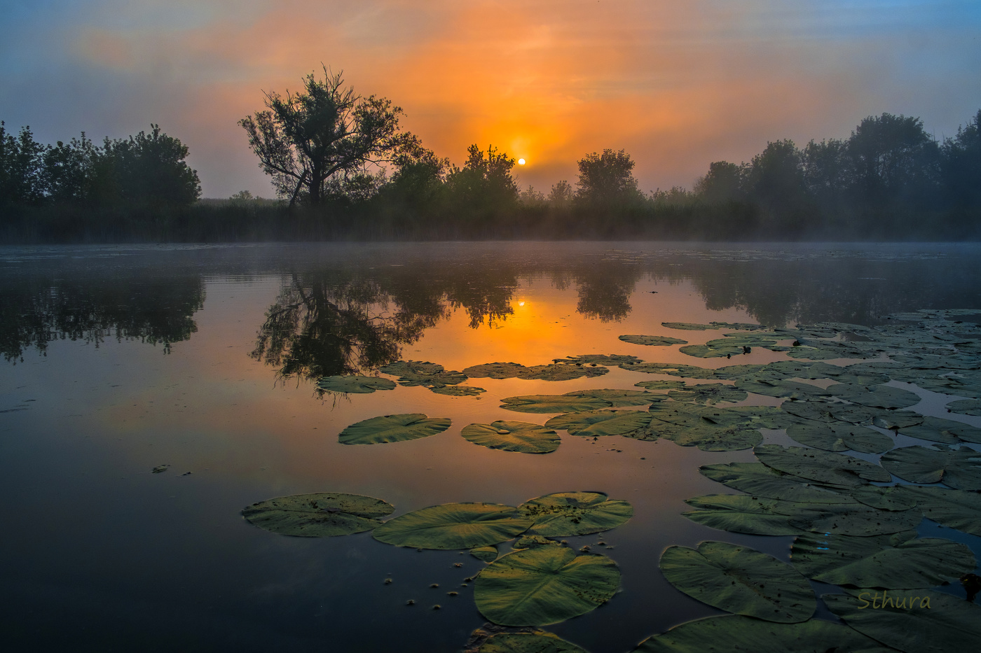 Утренняя тишина.